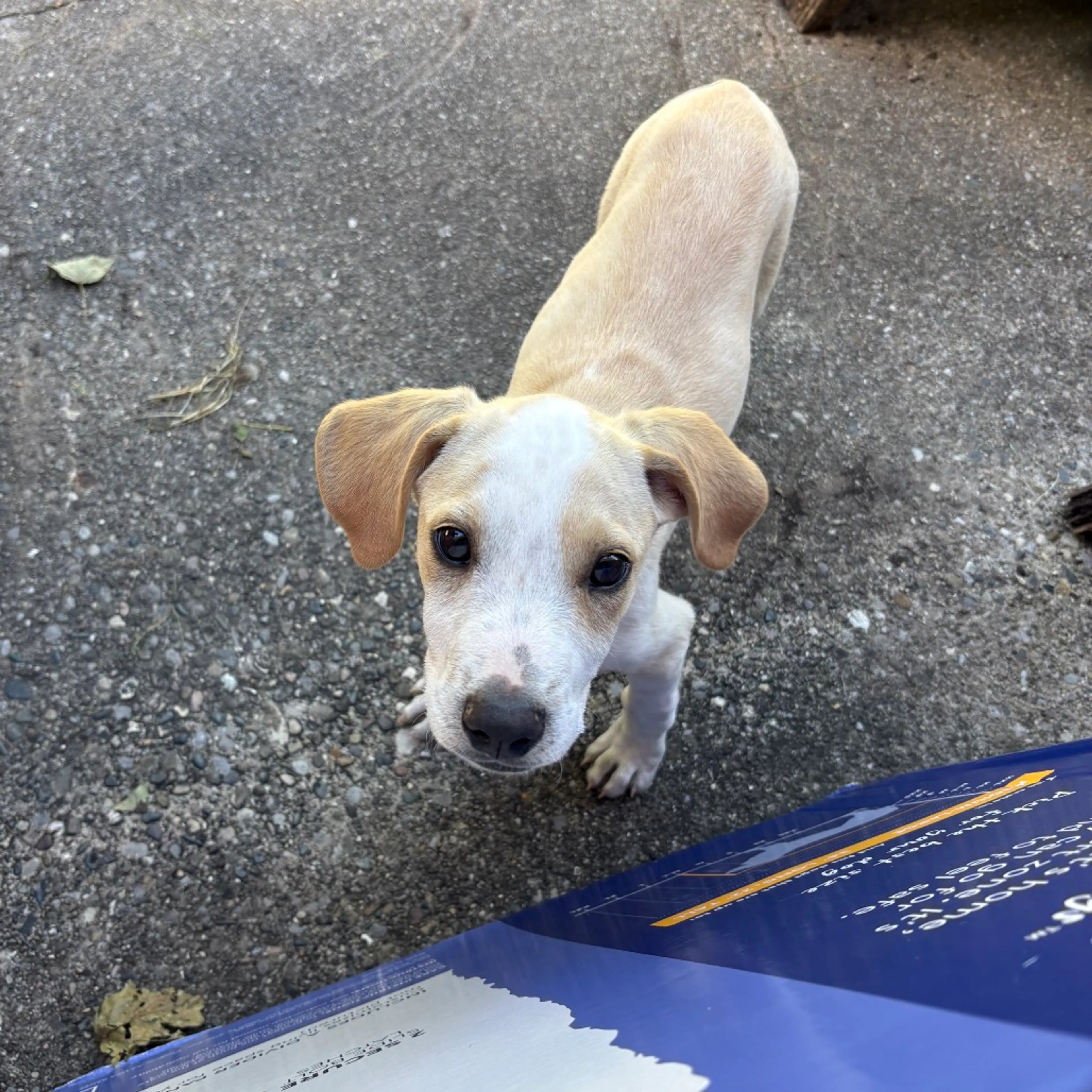 -2