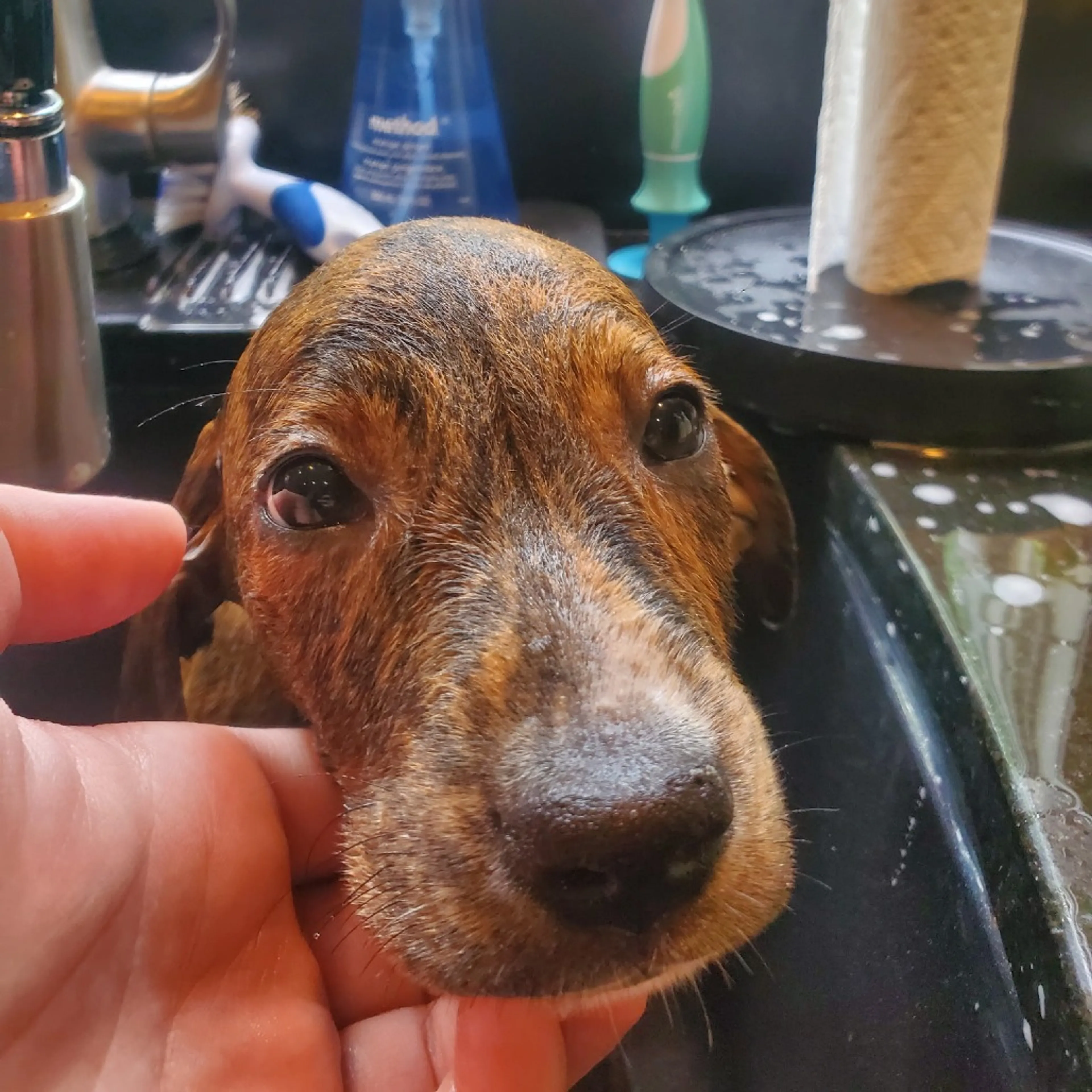 -2