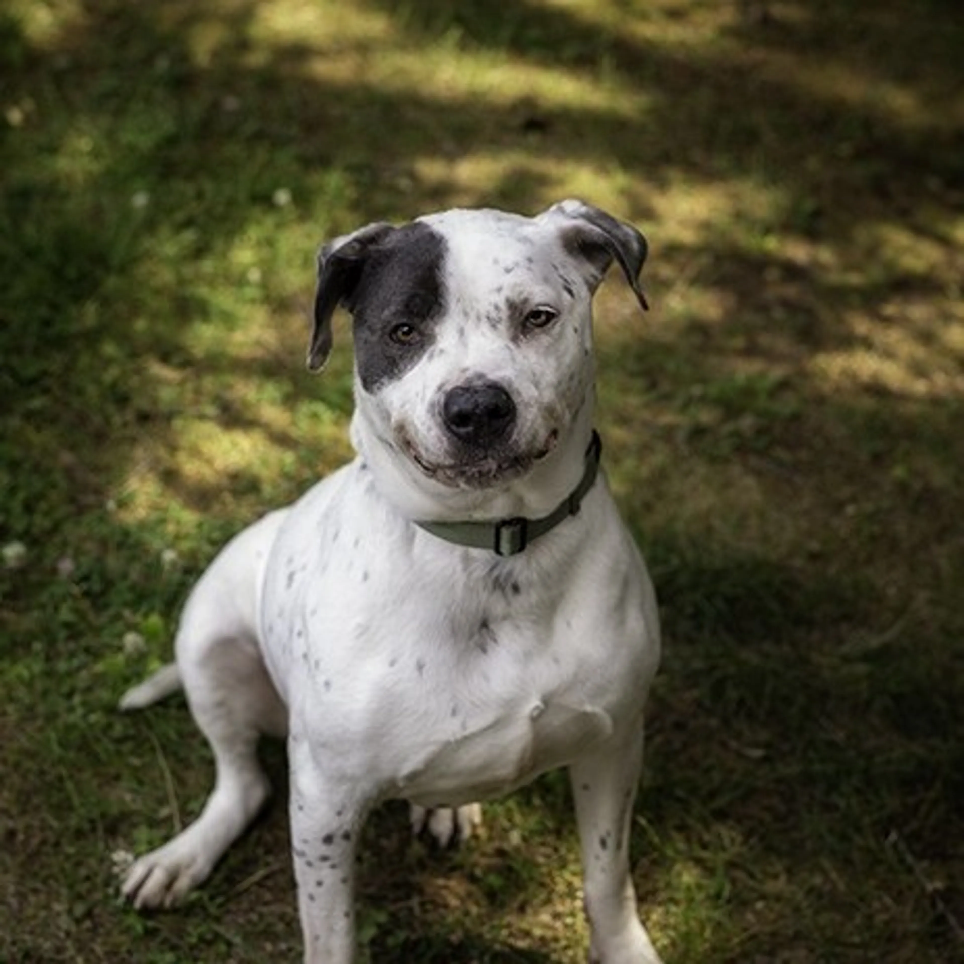 -2