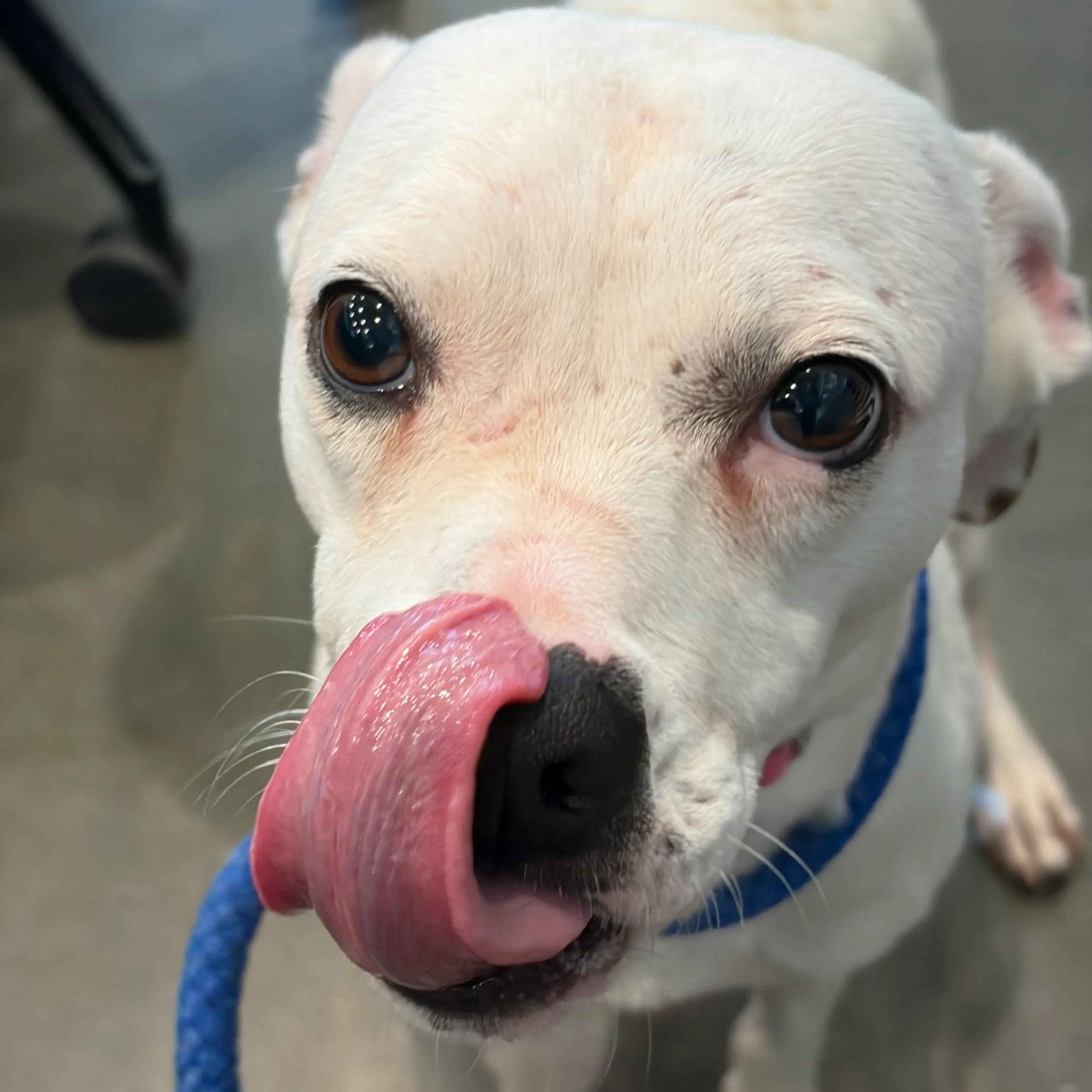 -3