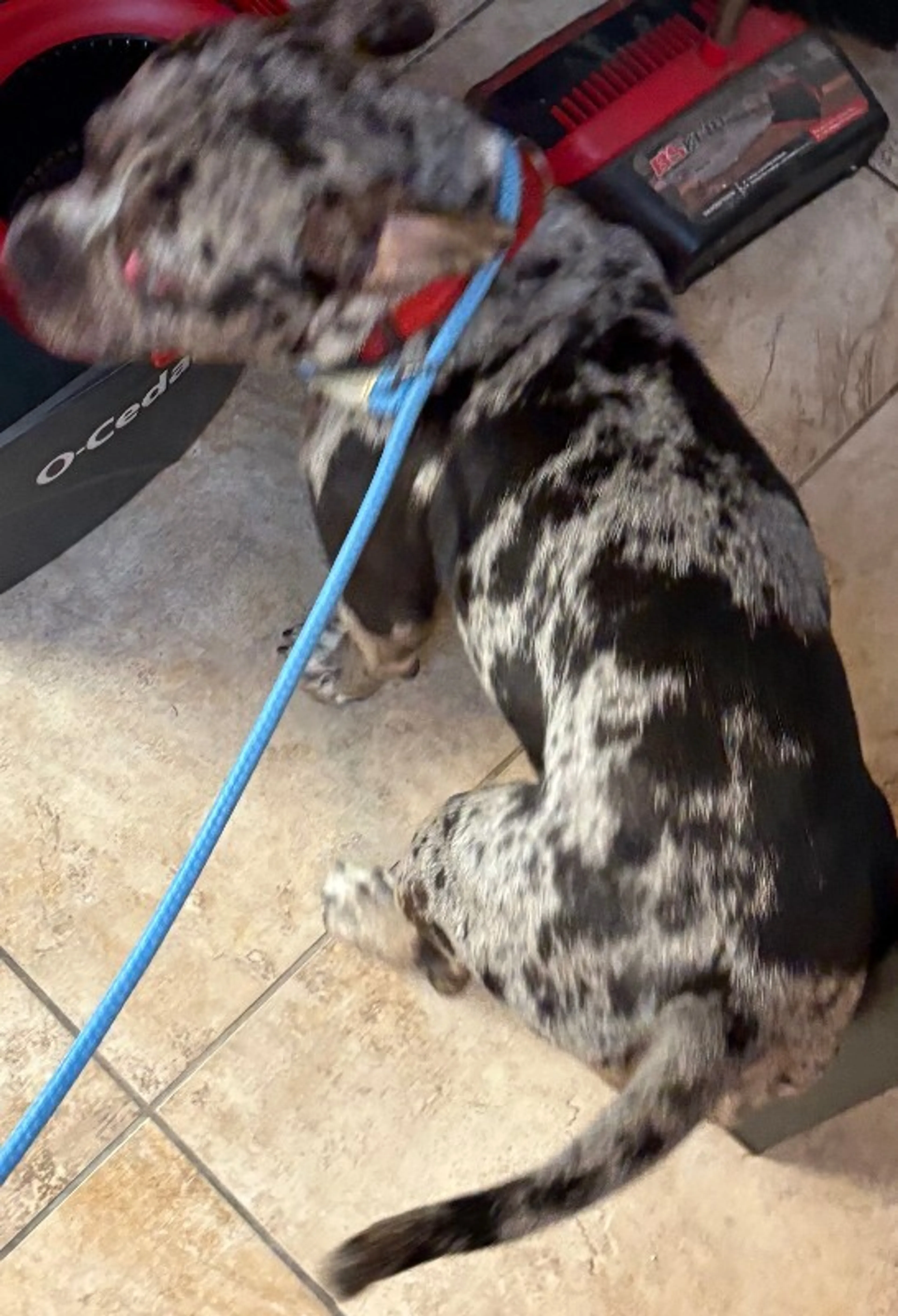 -3