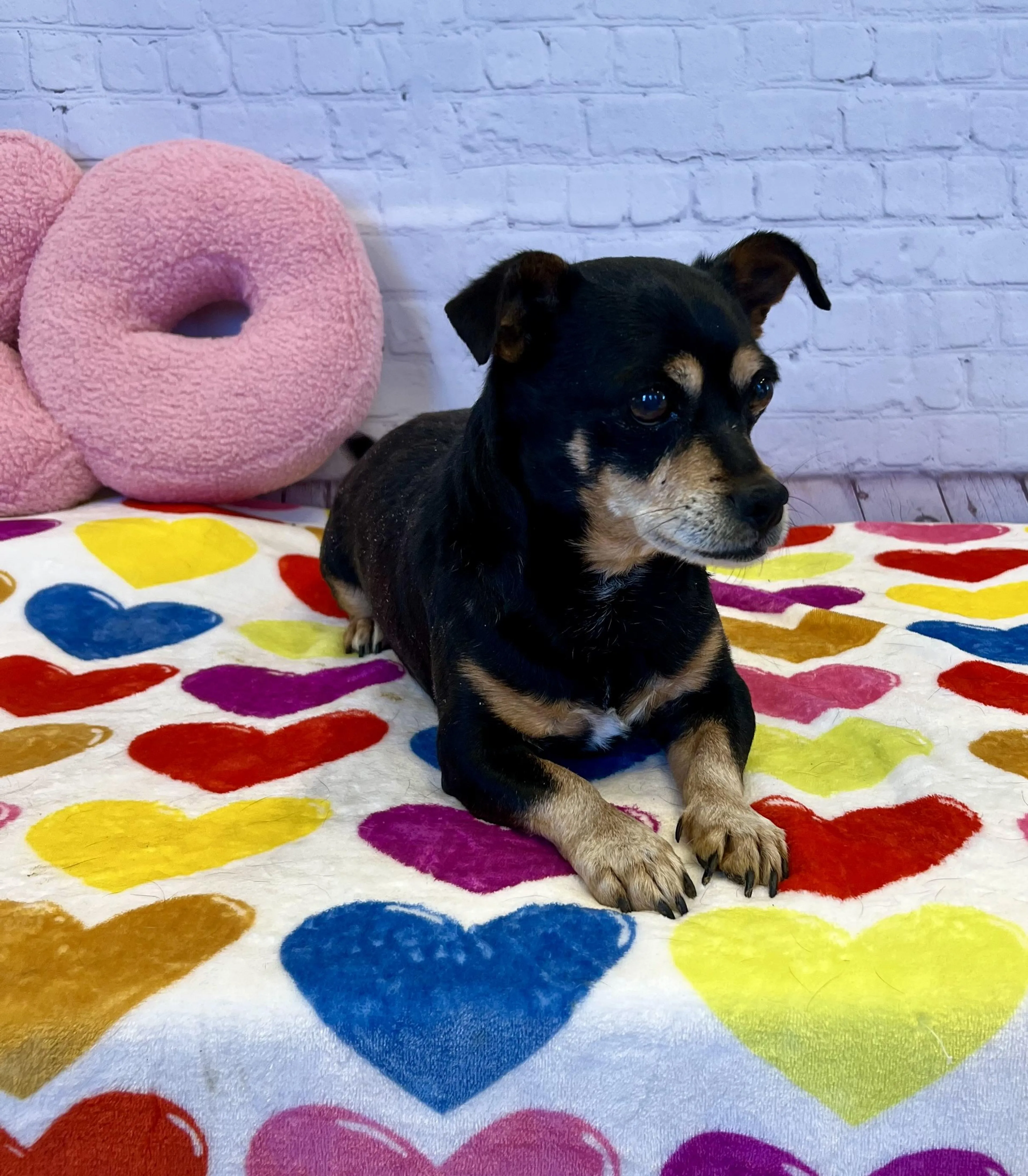 -0