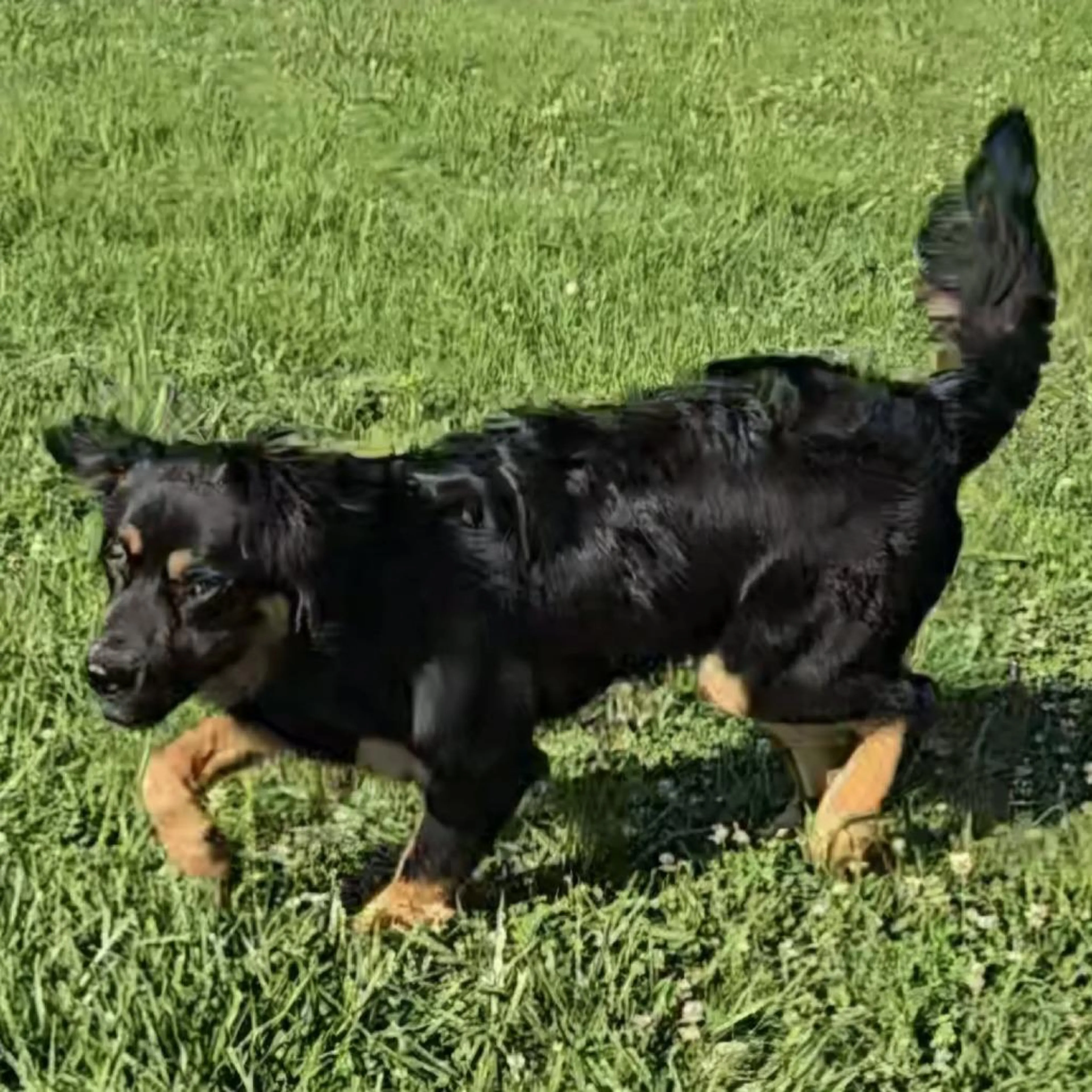 -2