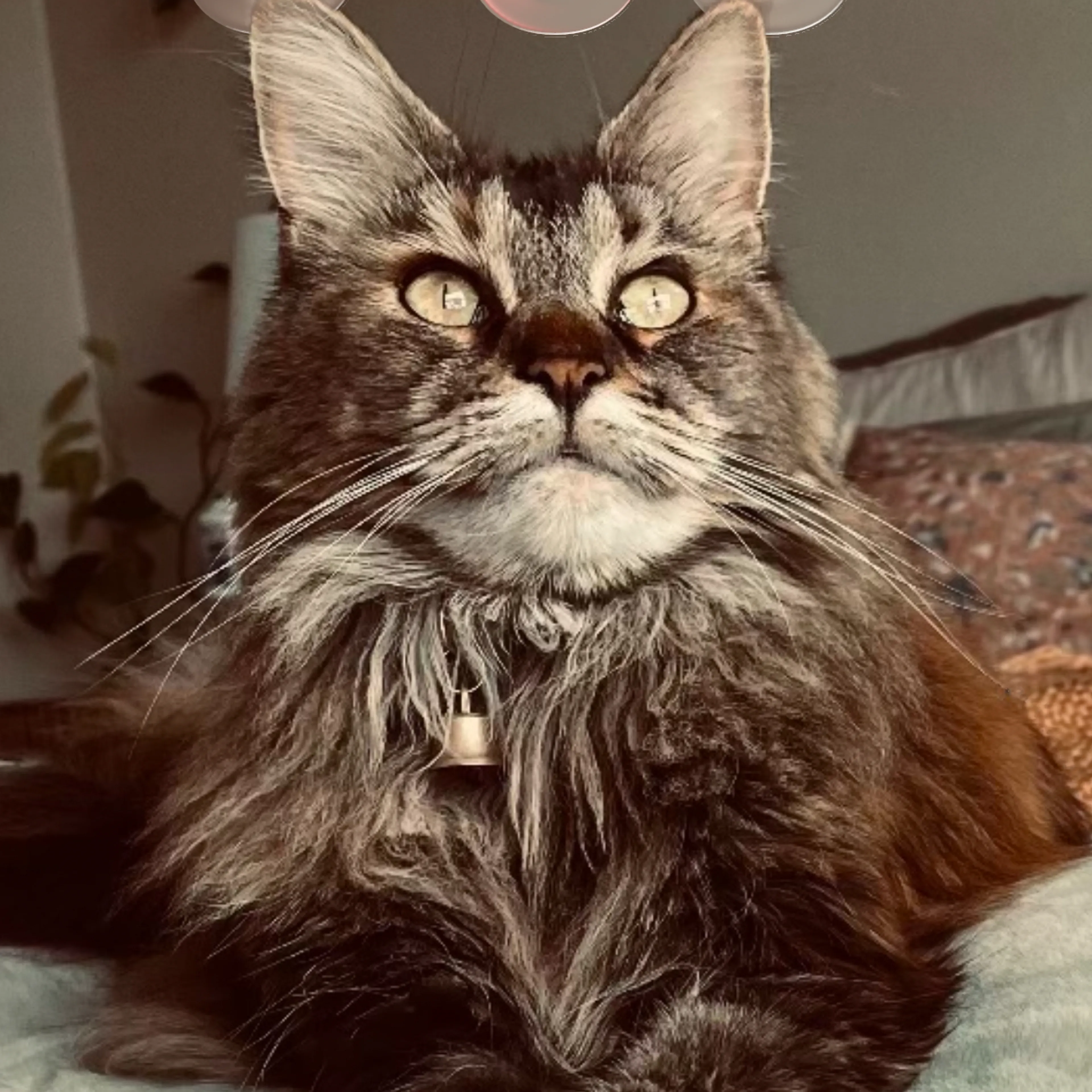 -0
