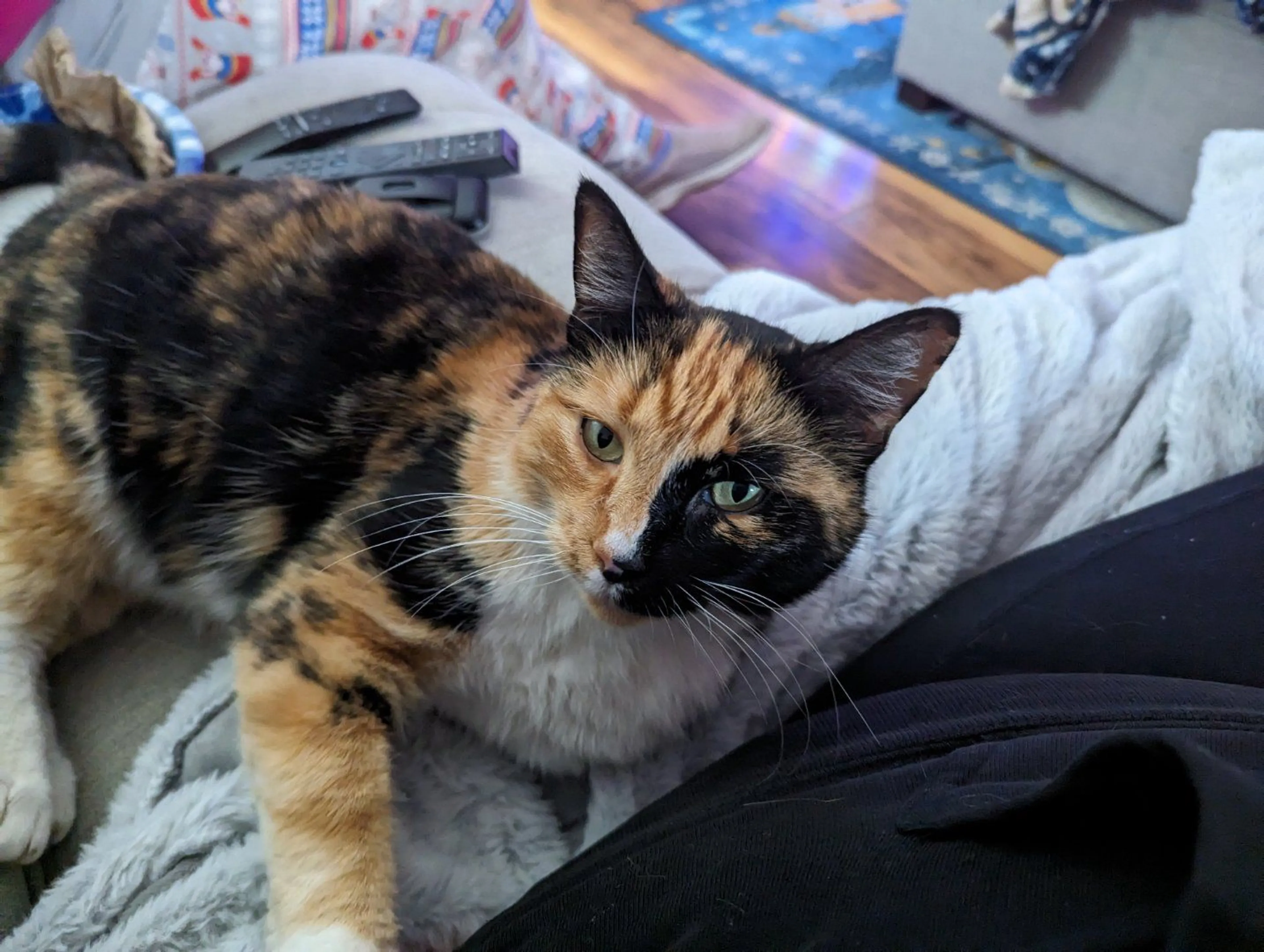 -0