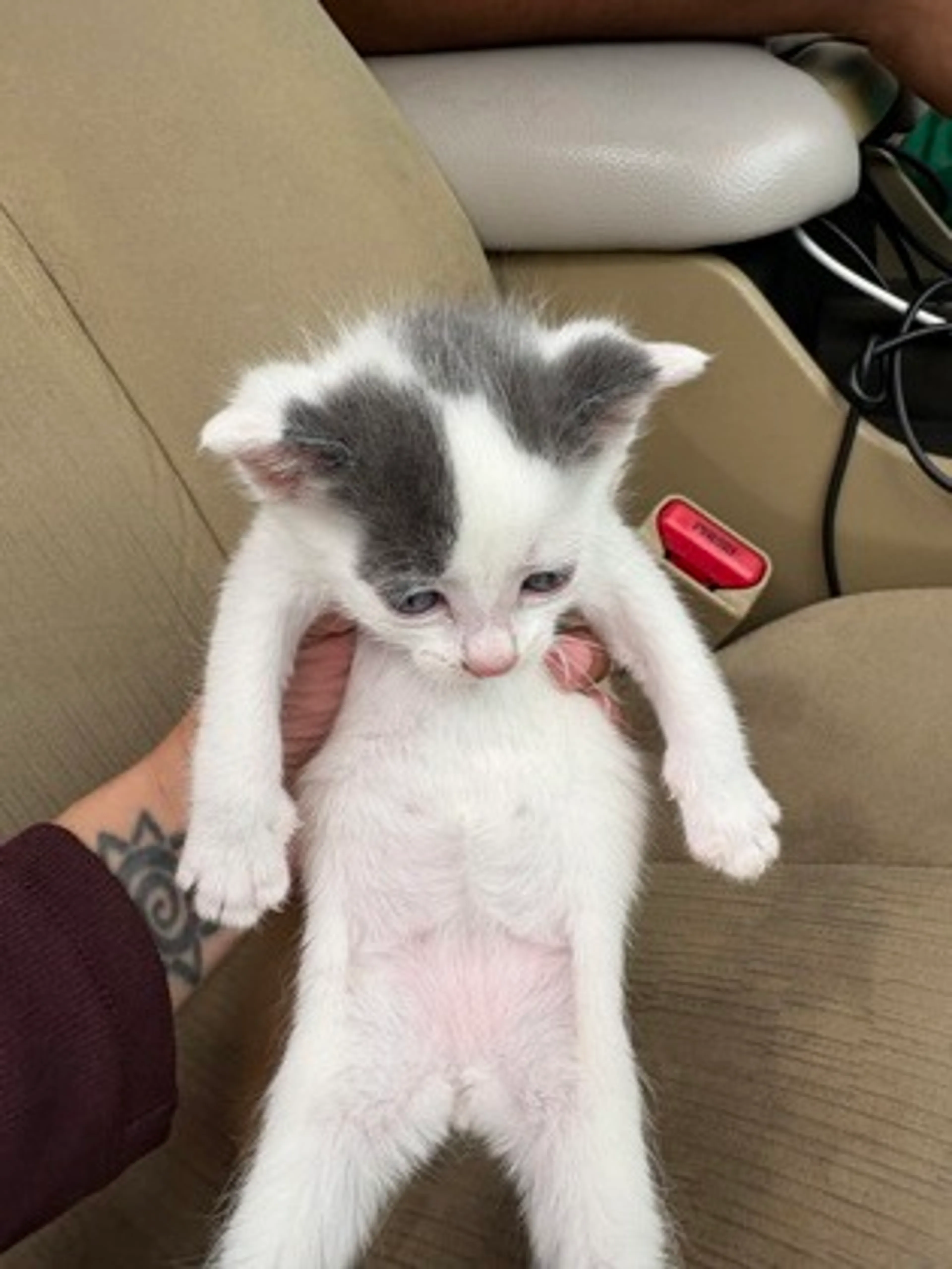 -2