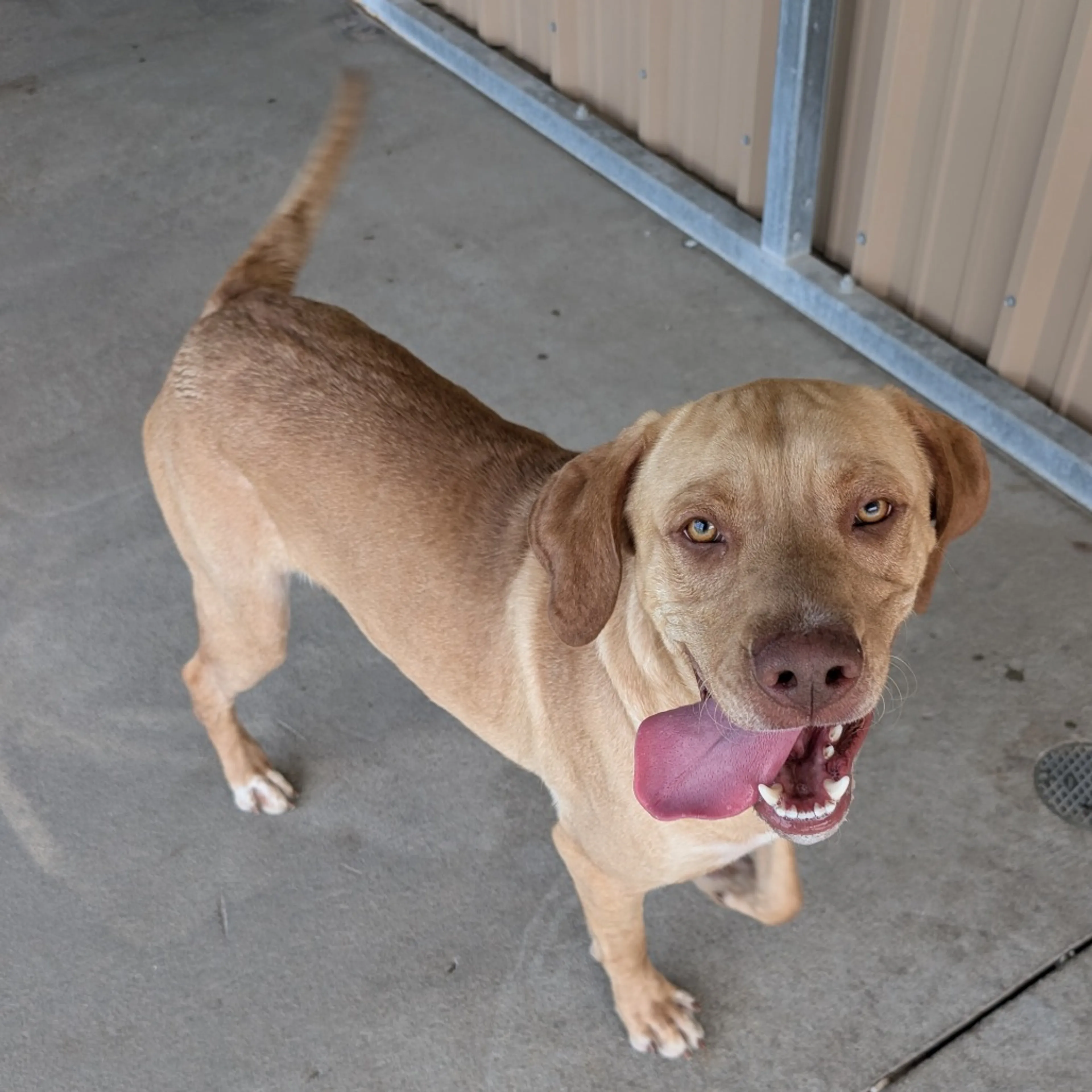 -1