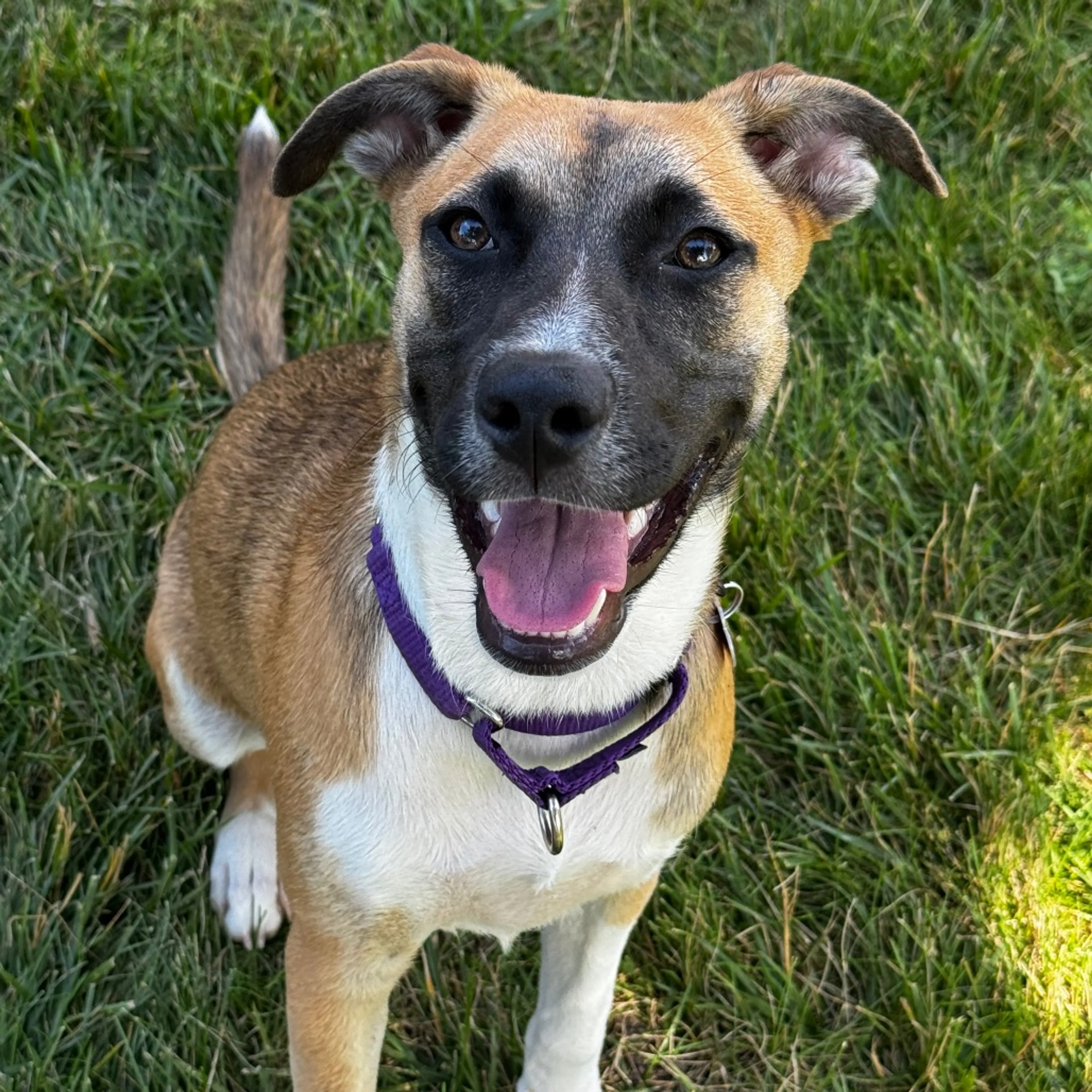 -35