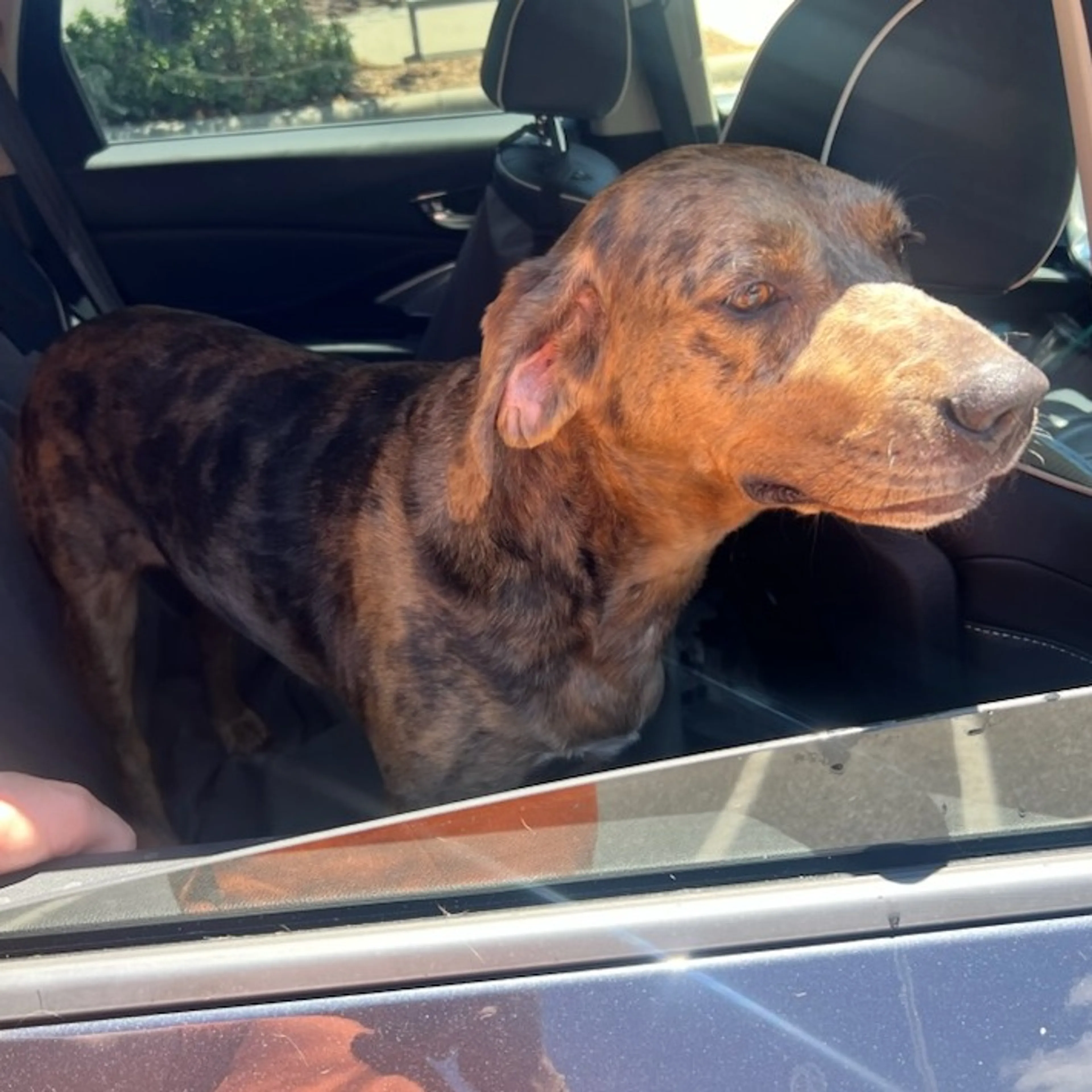 -1