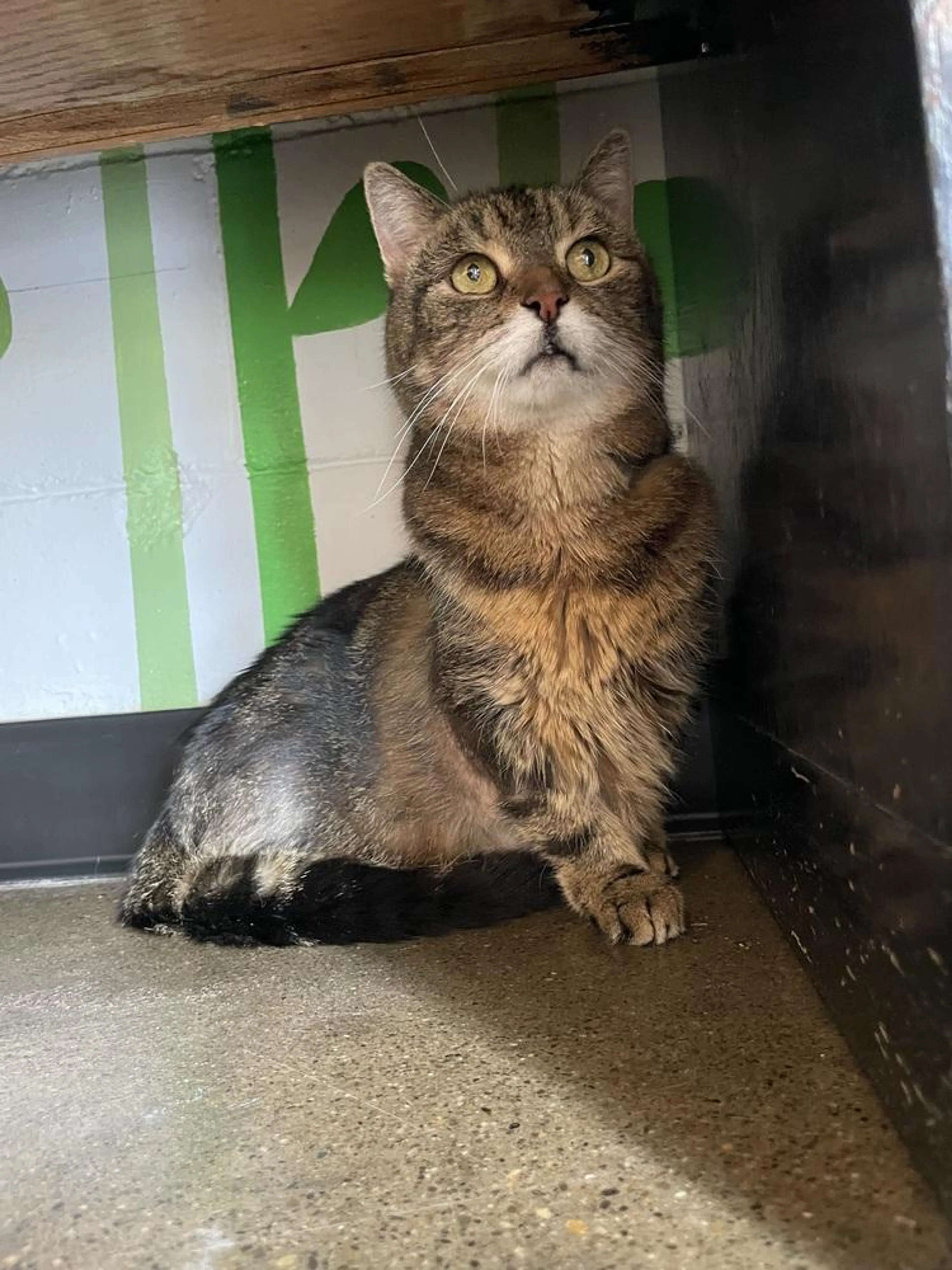 -0