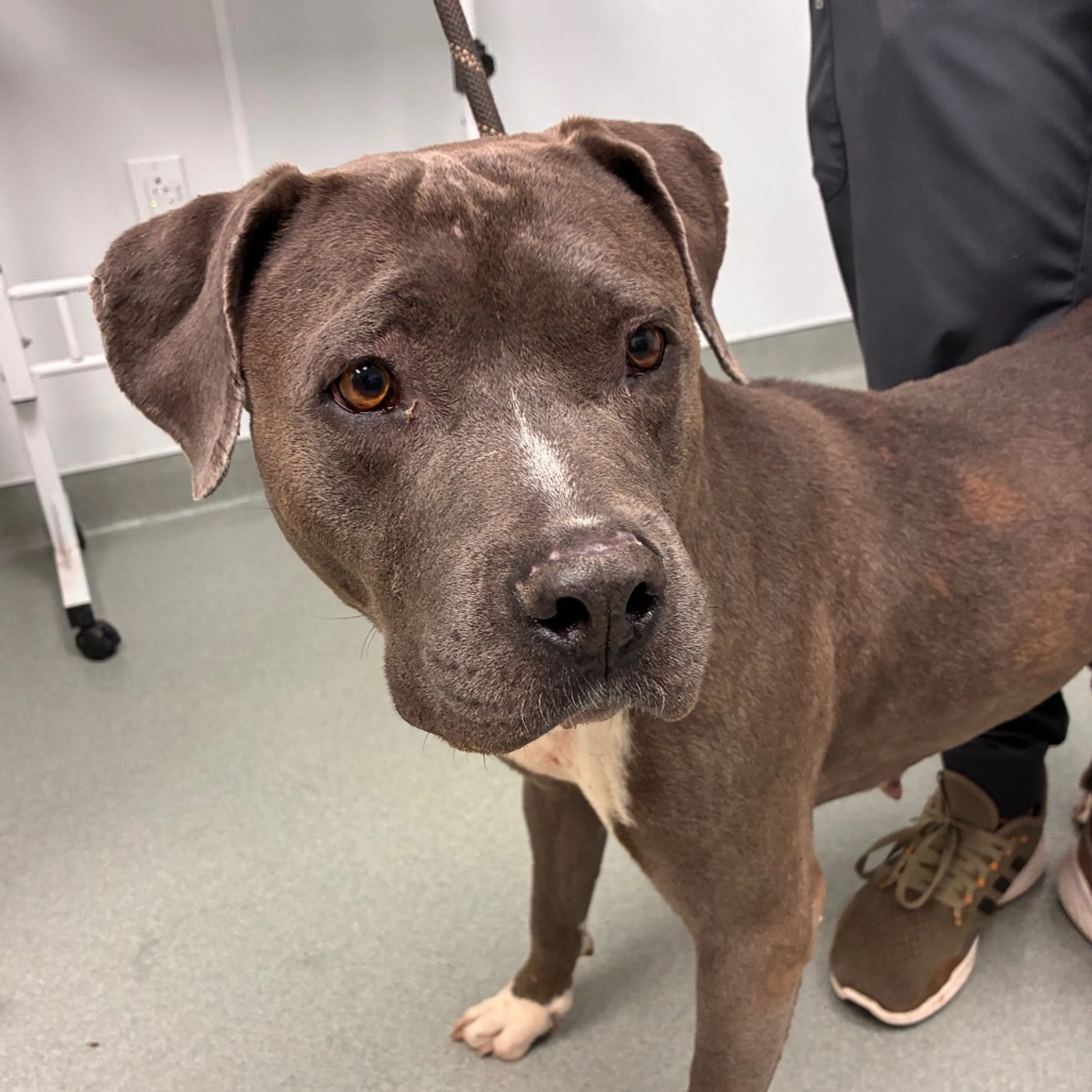 -2