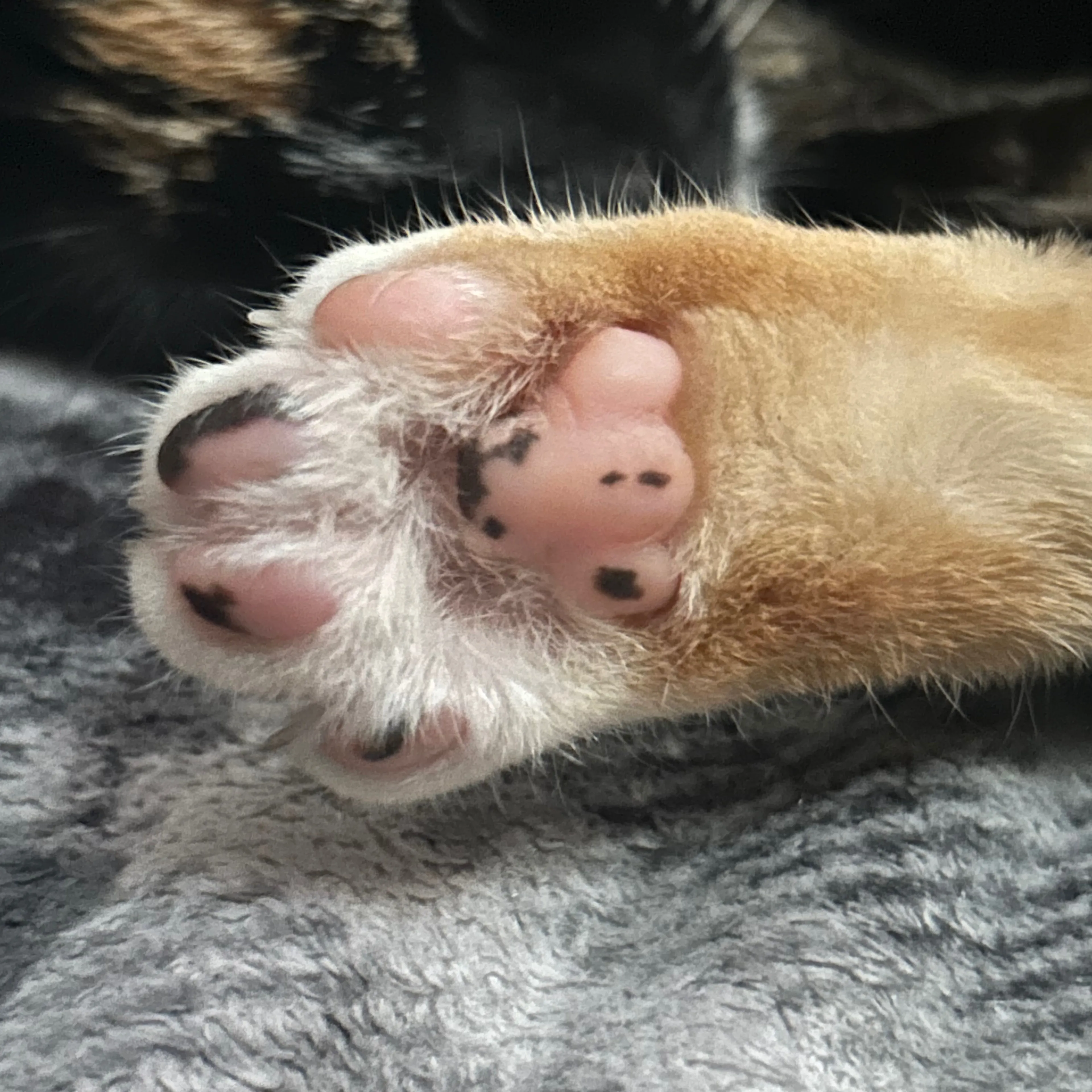 -3