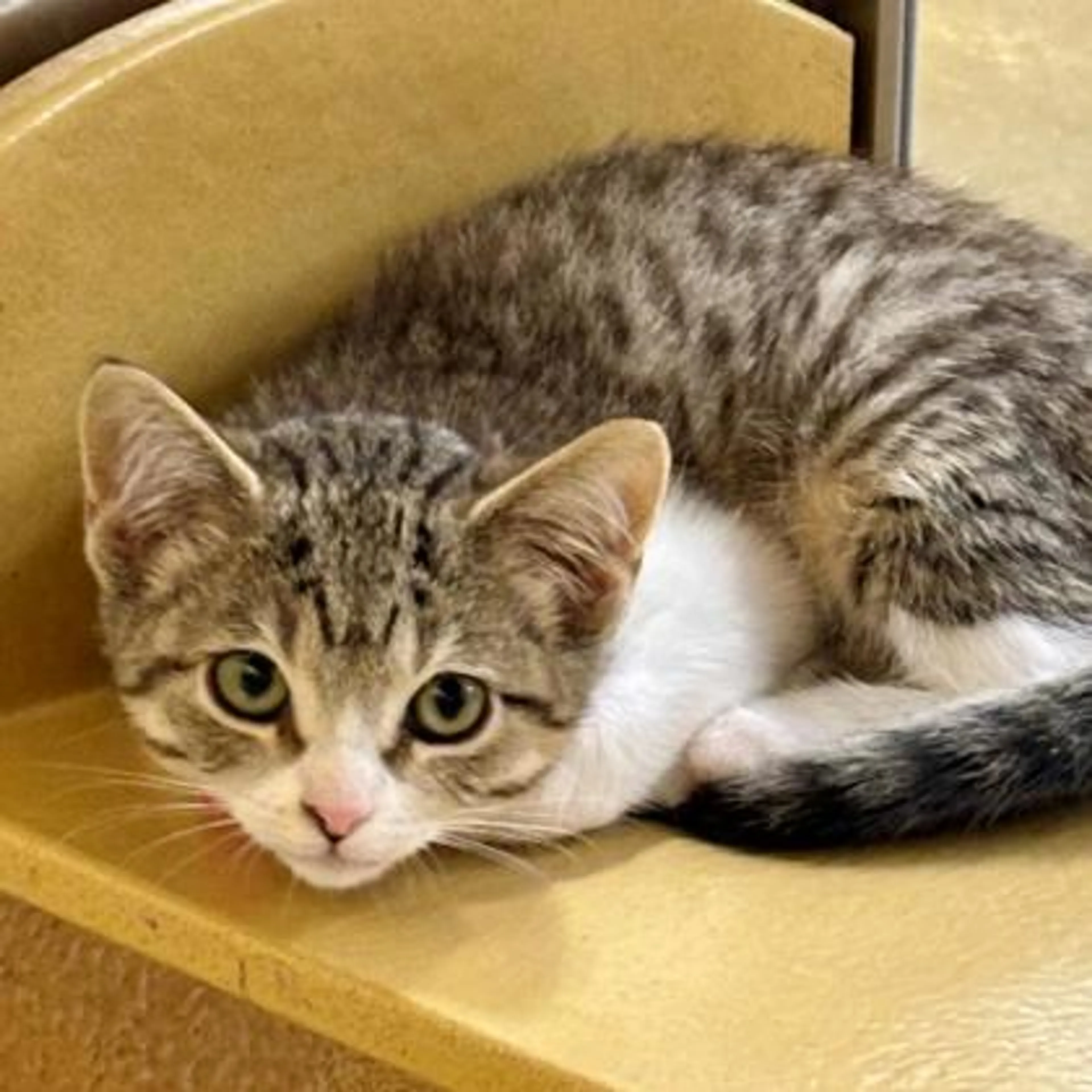 -1