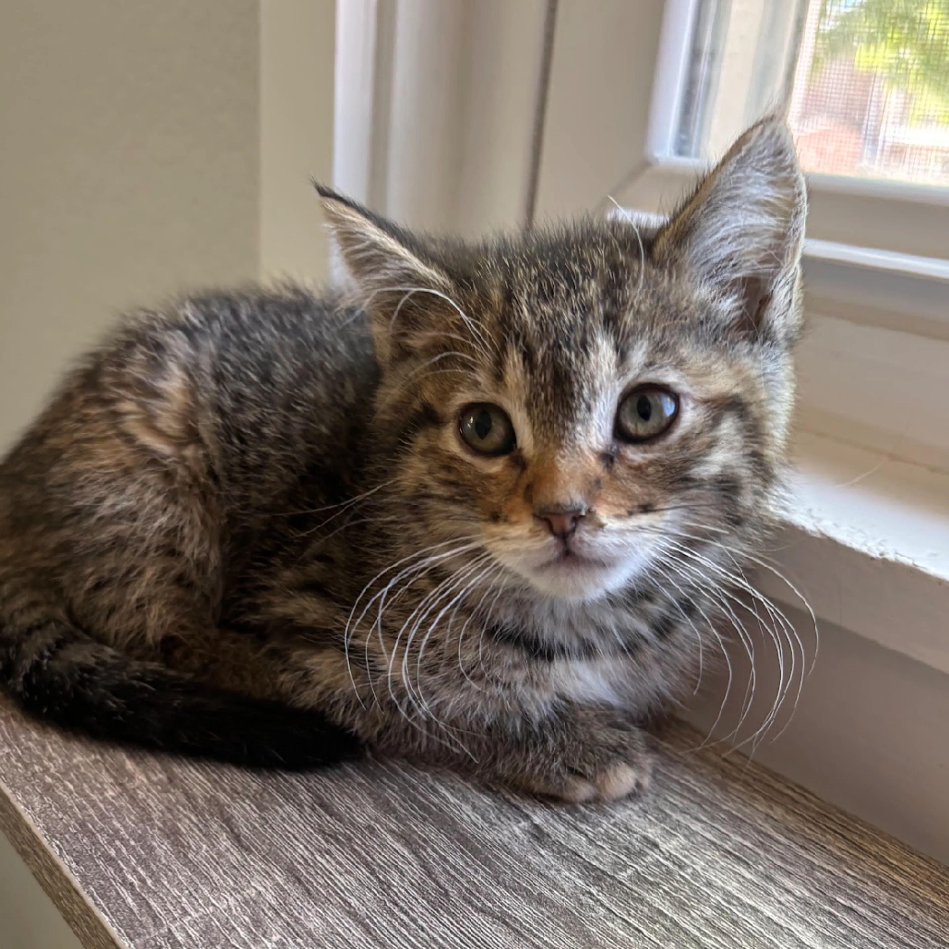 -6