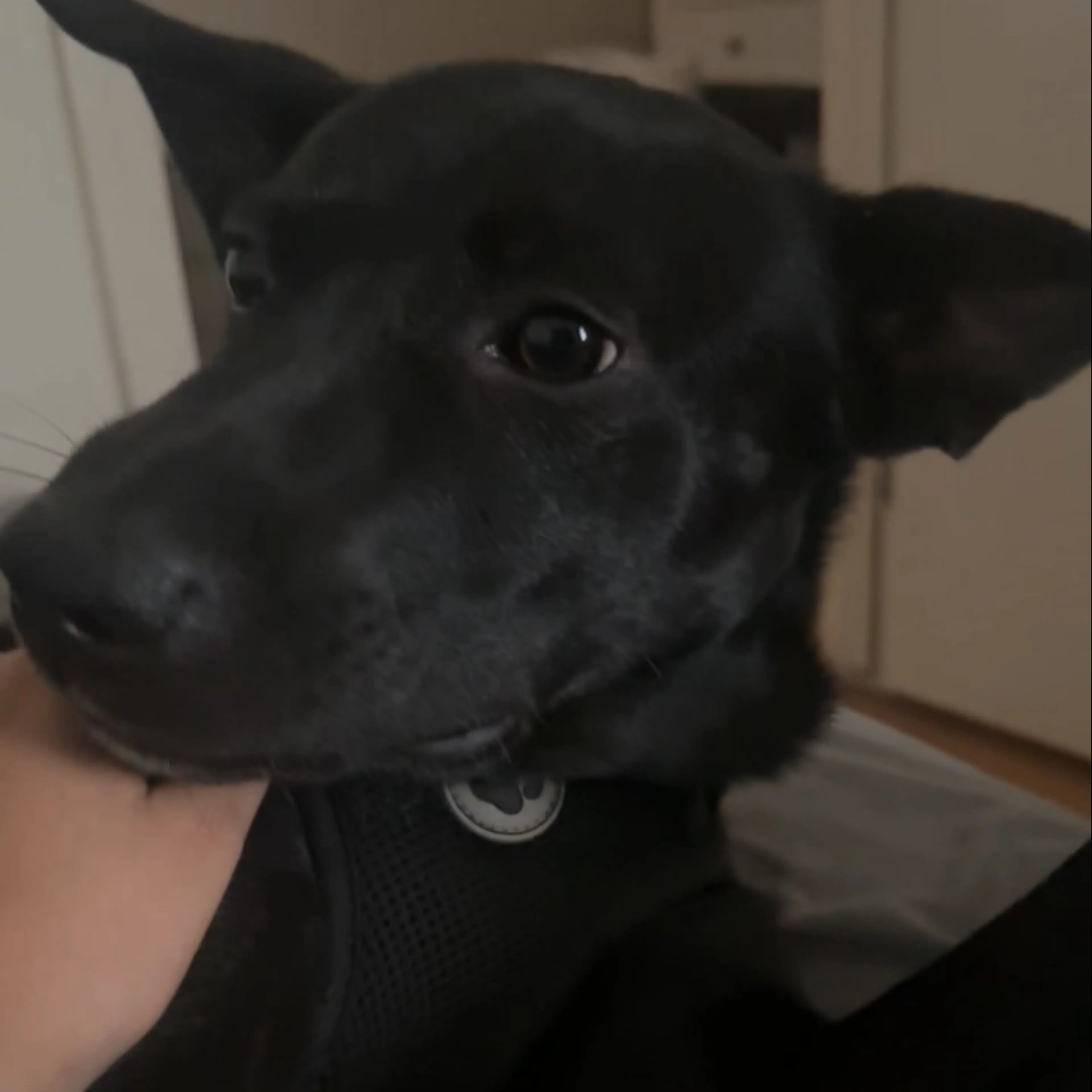 -1