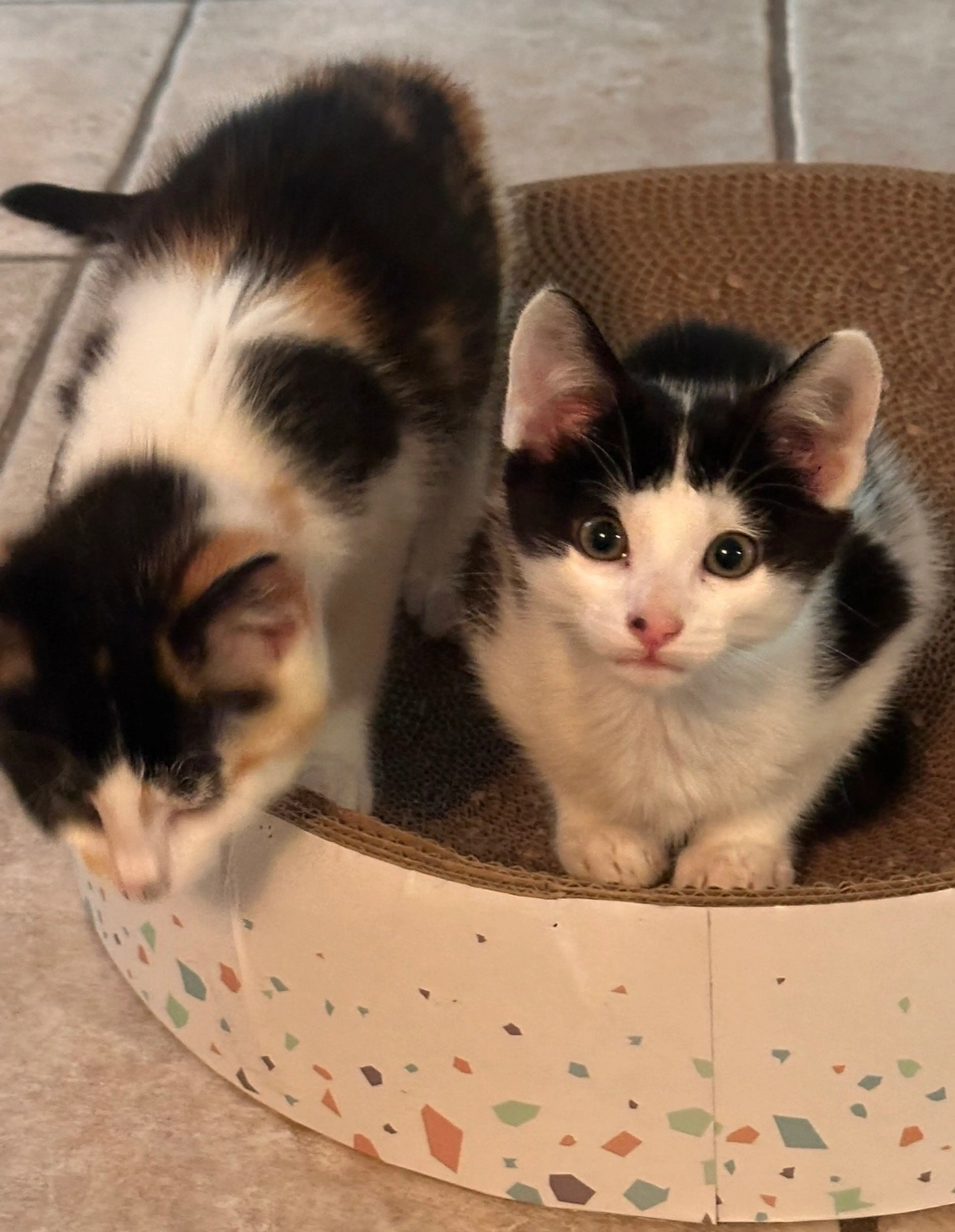-3