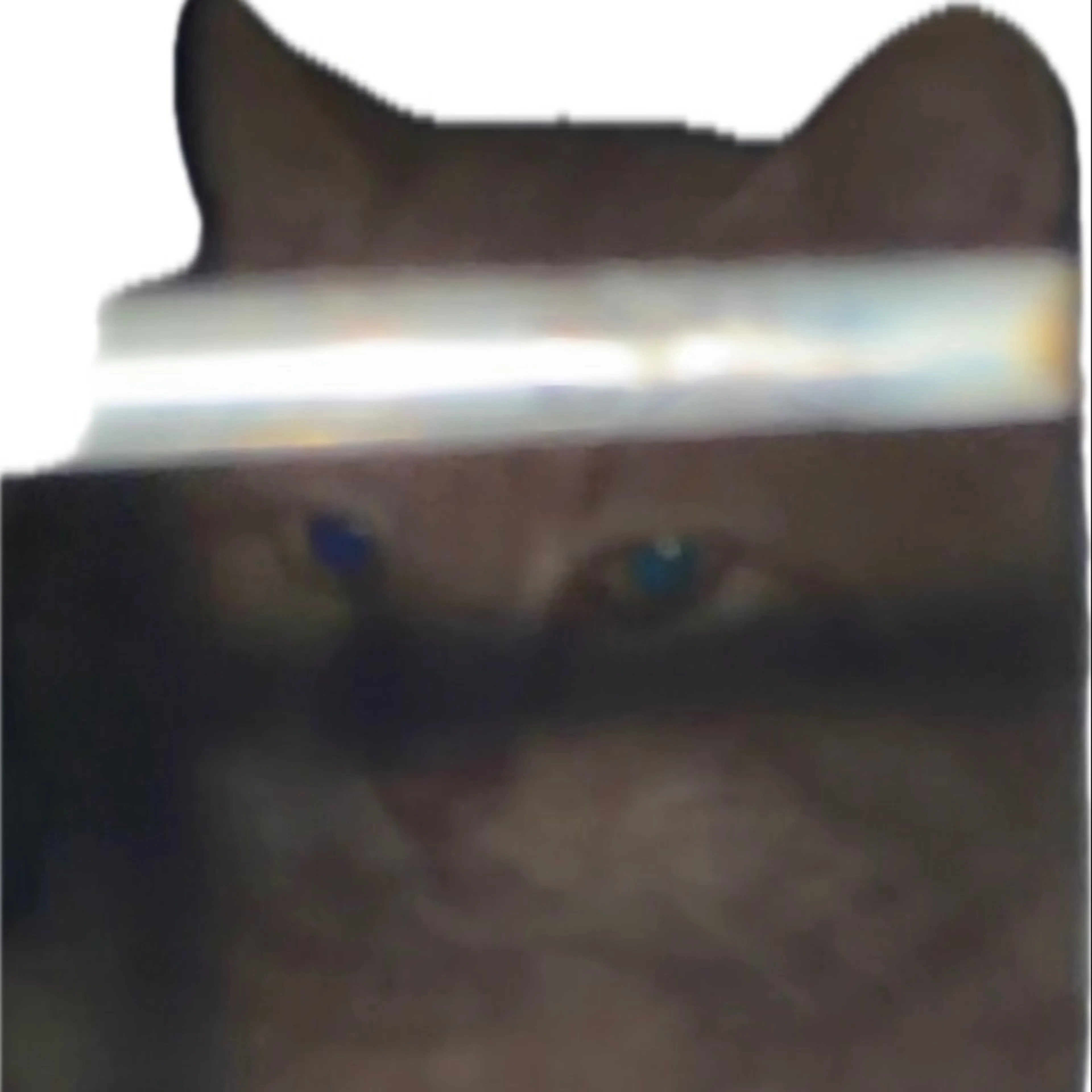 cdn image