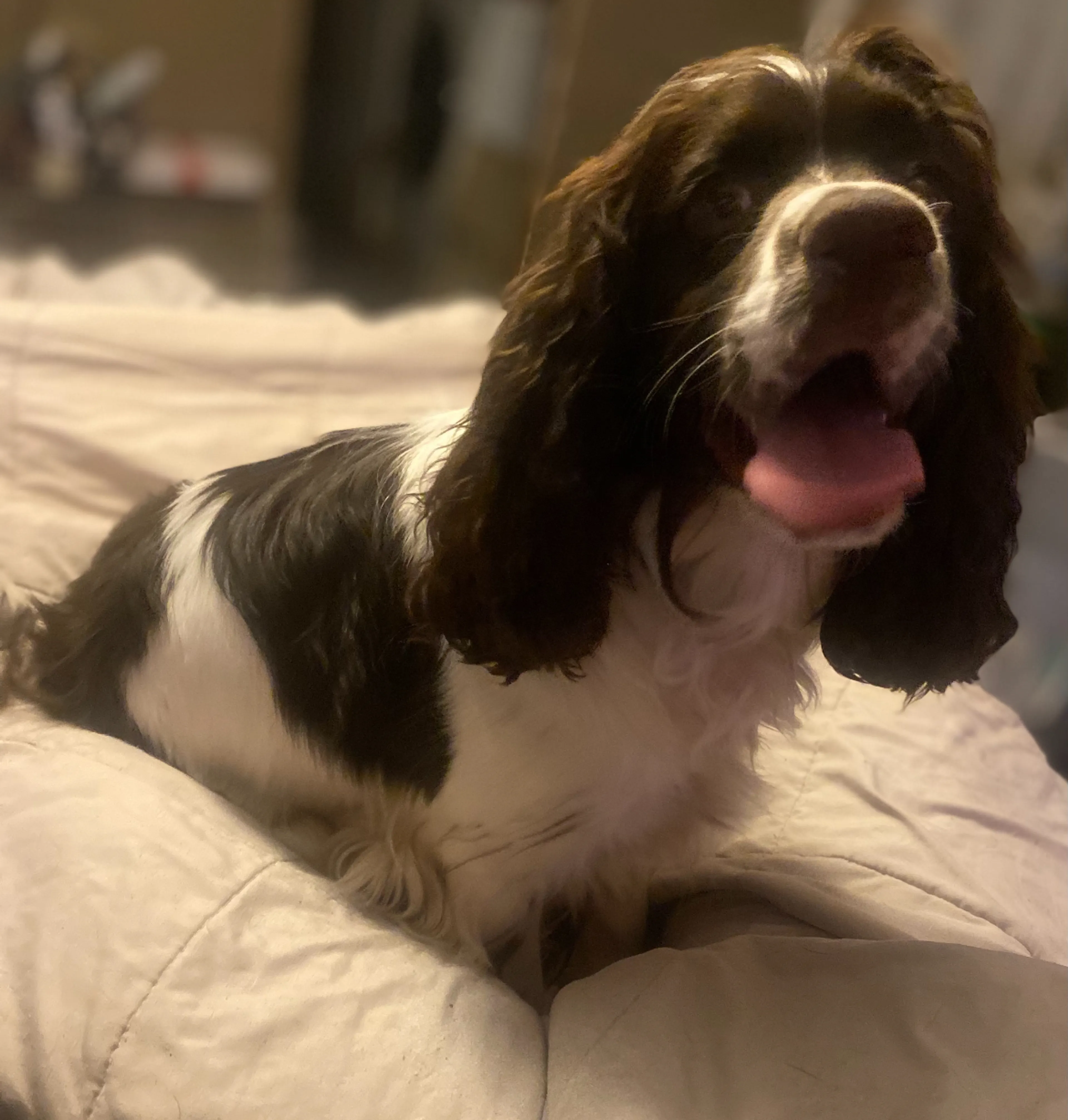-1