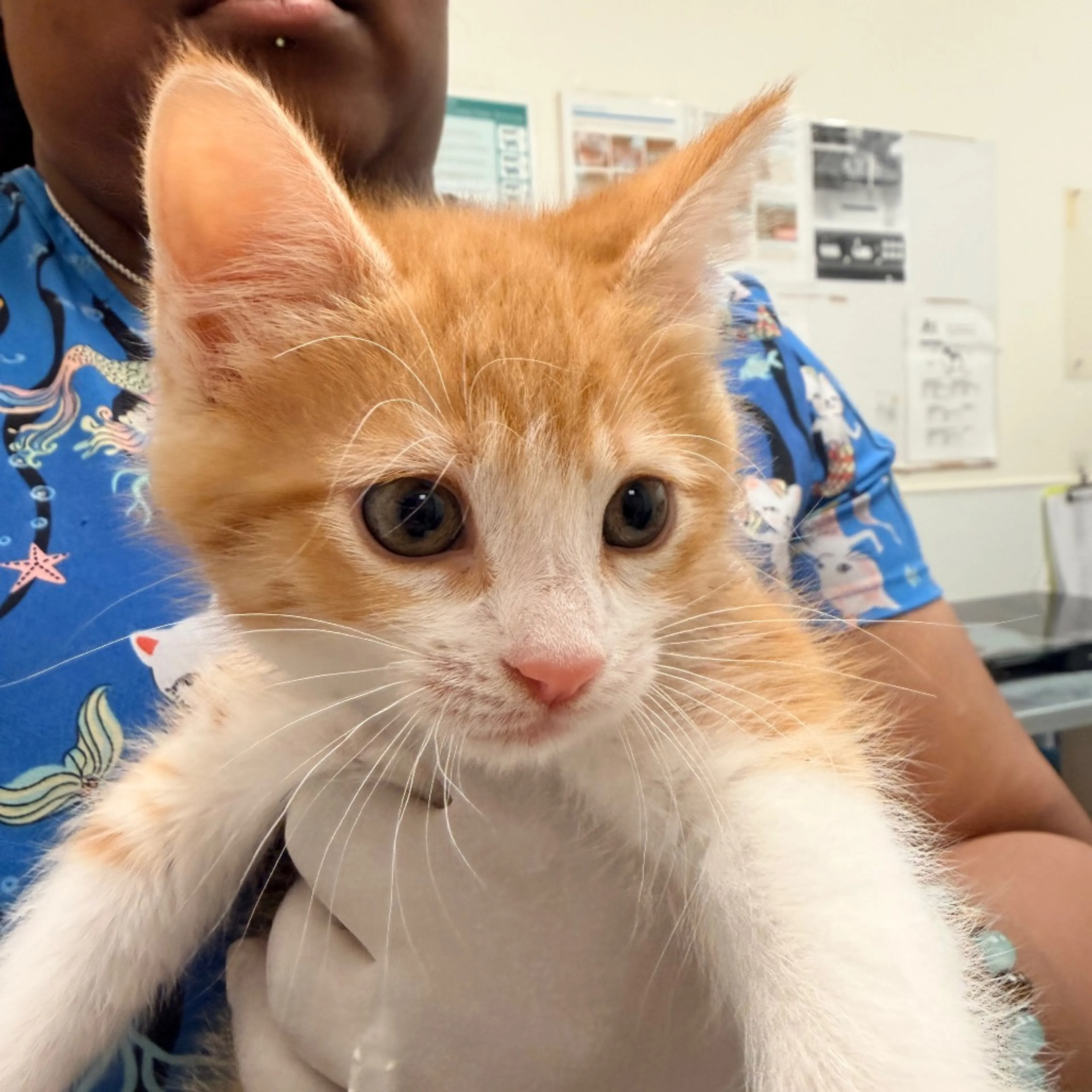 -0