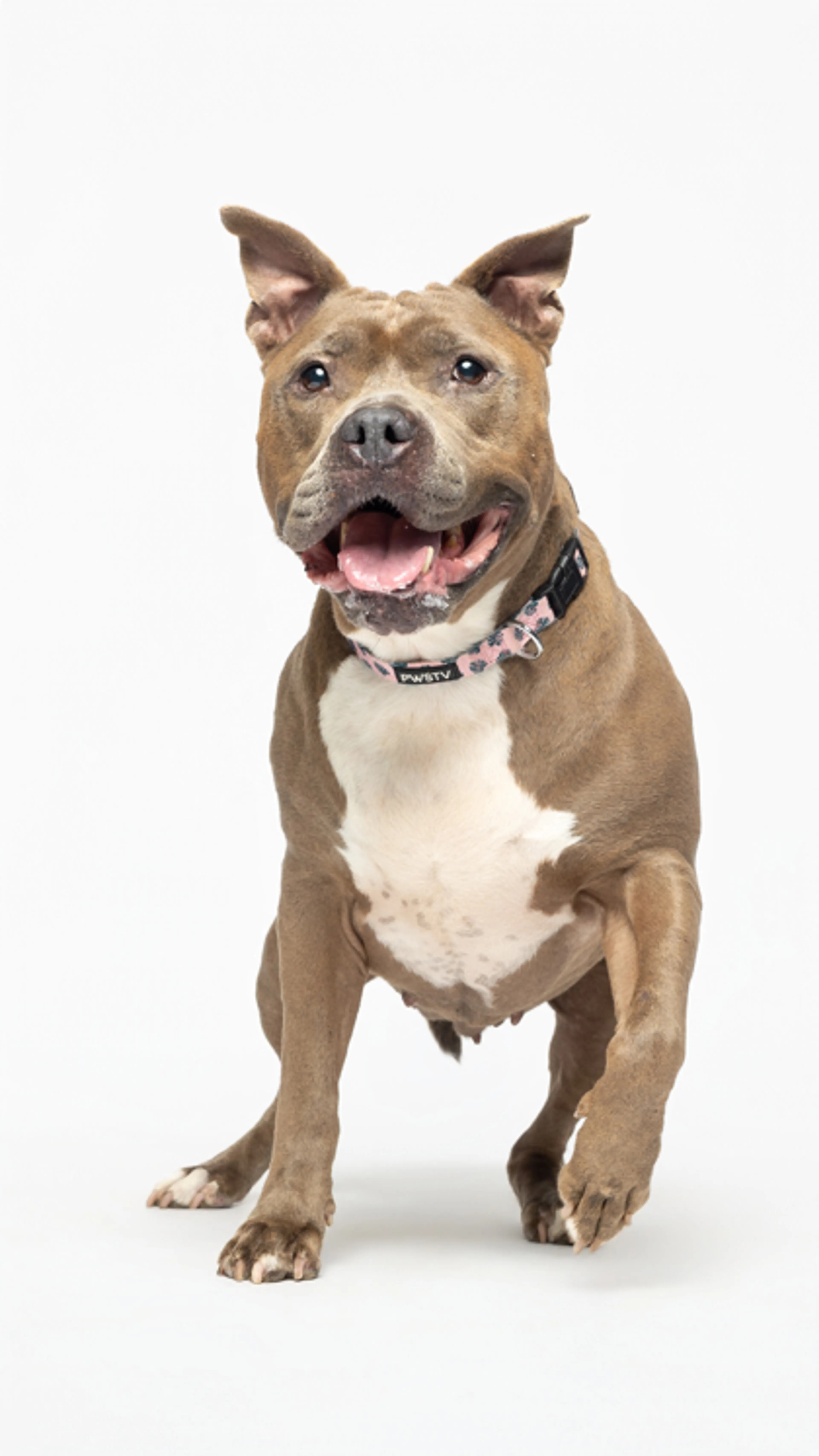 -1