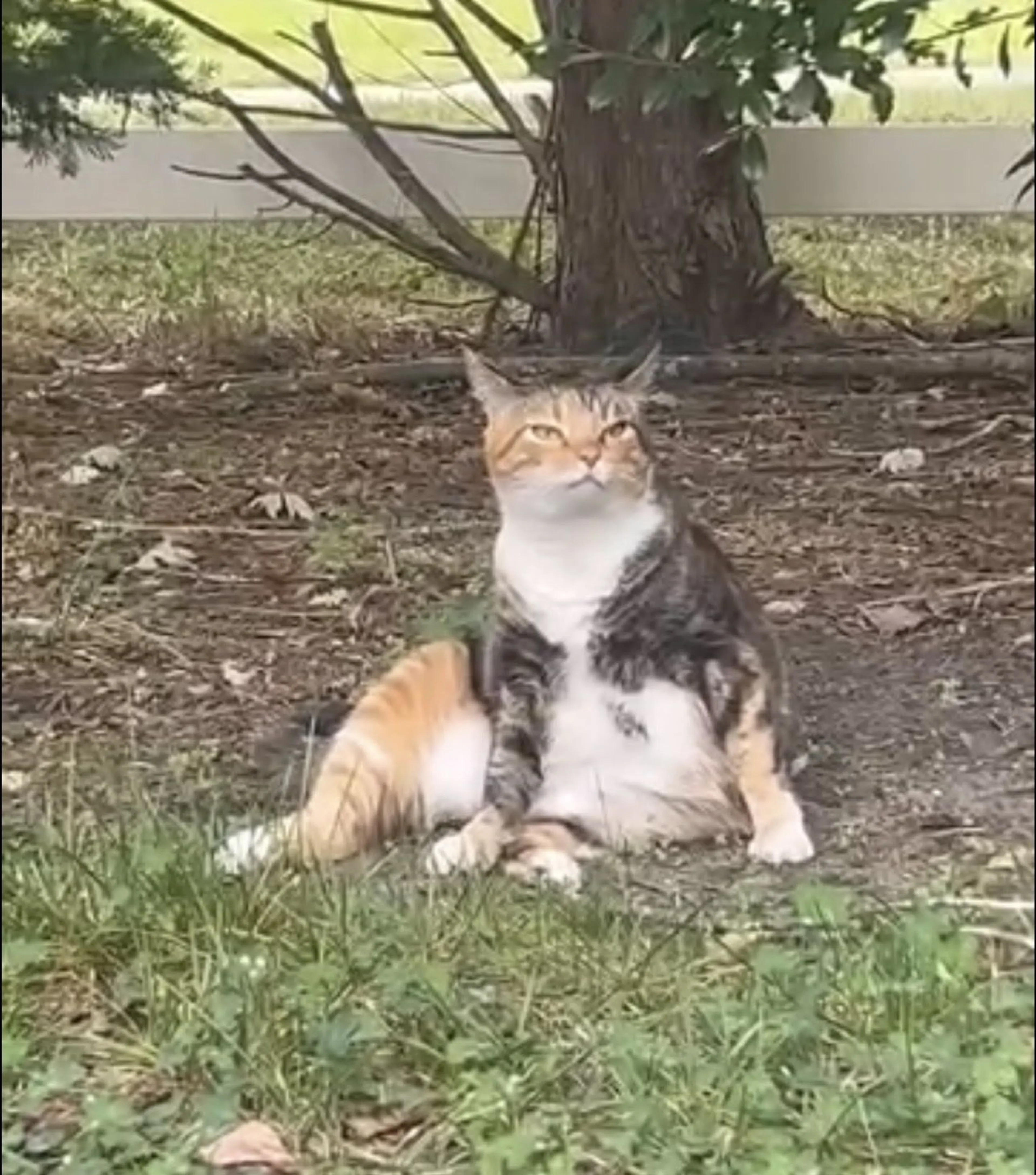 -1