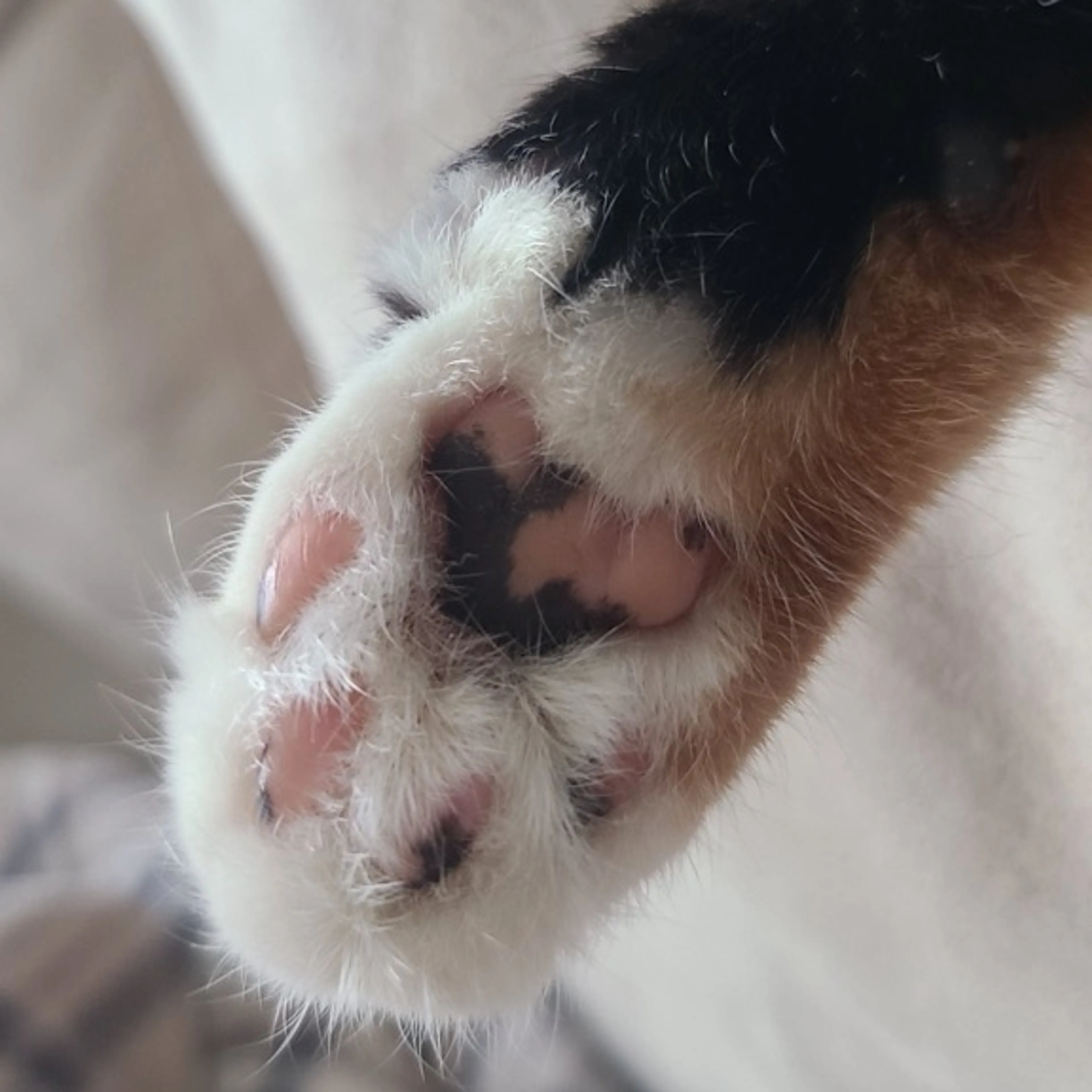 -3