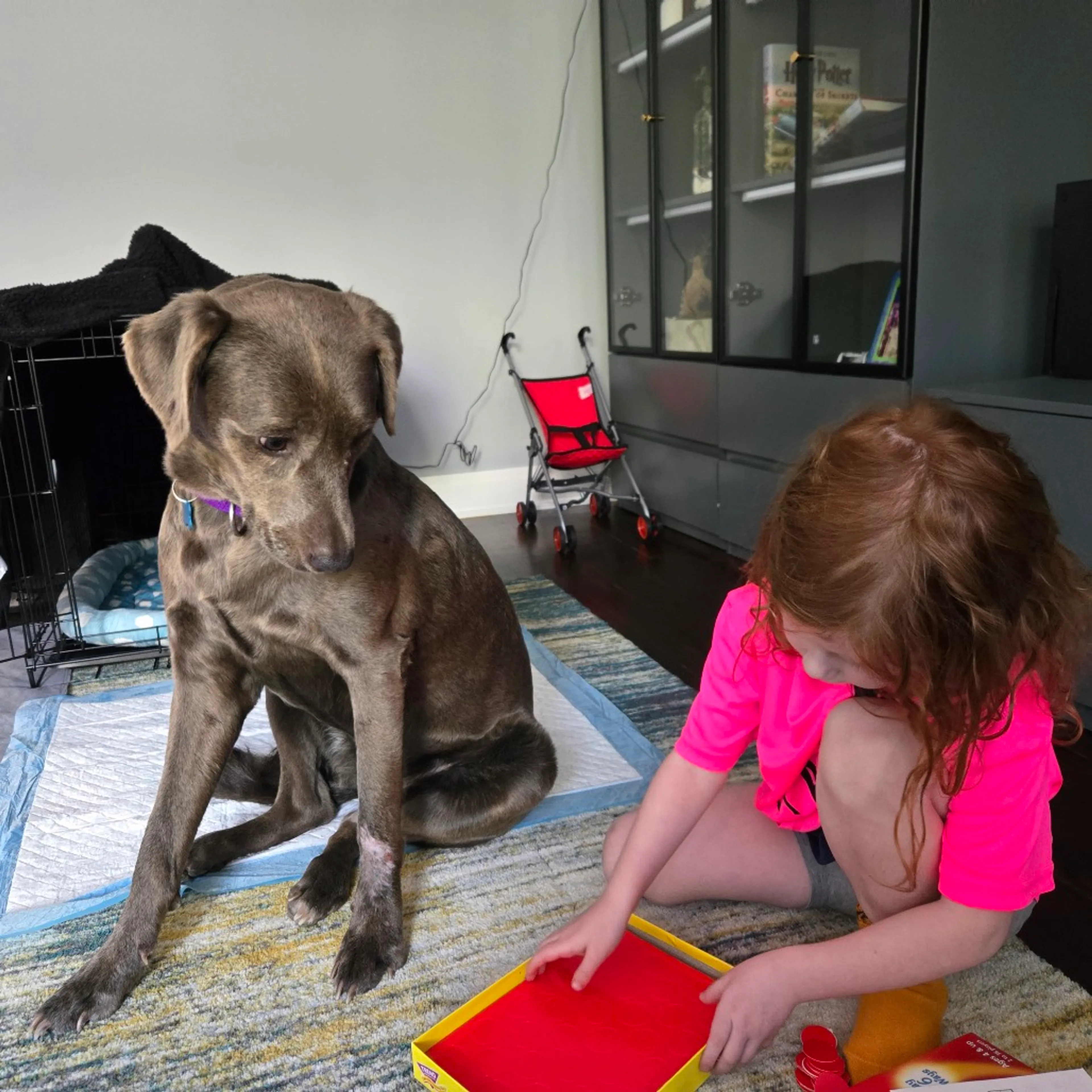 -2