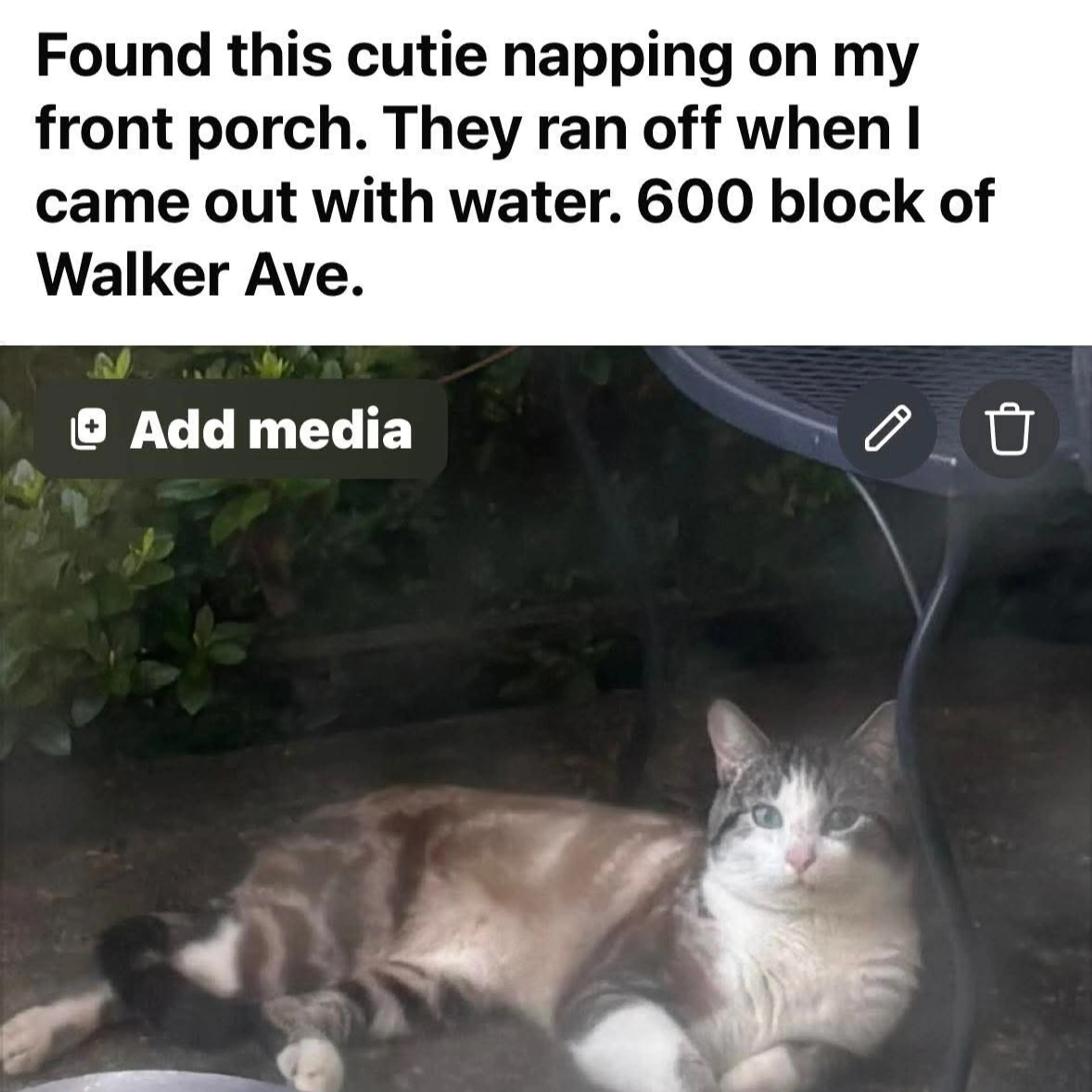 cdn image