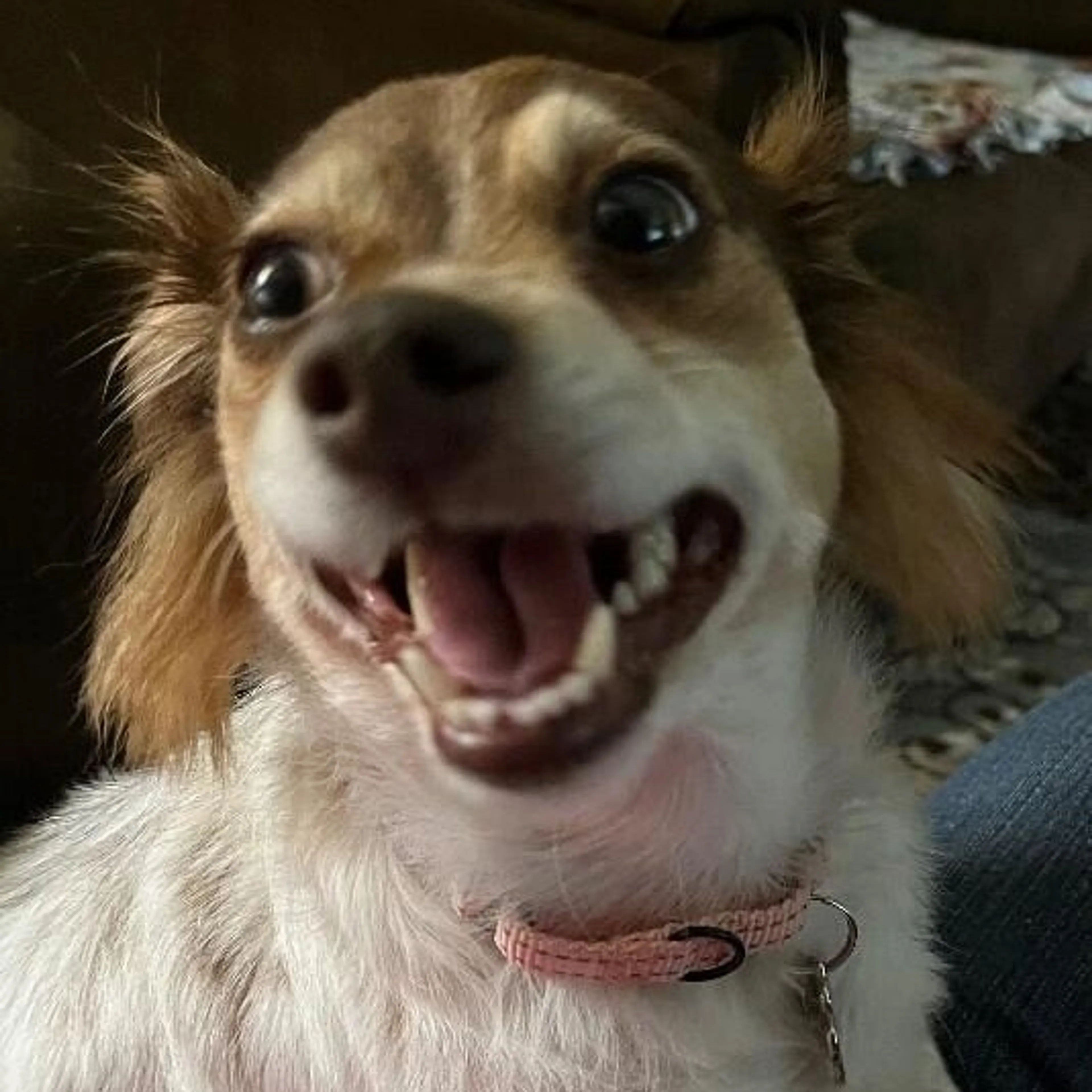 -0