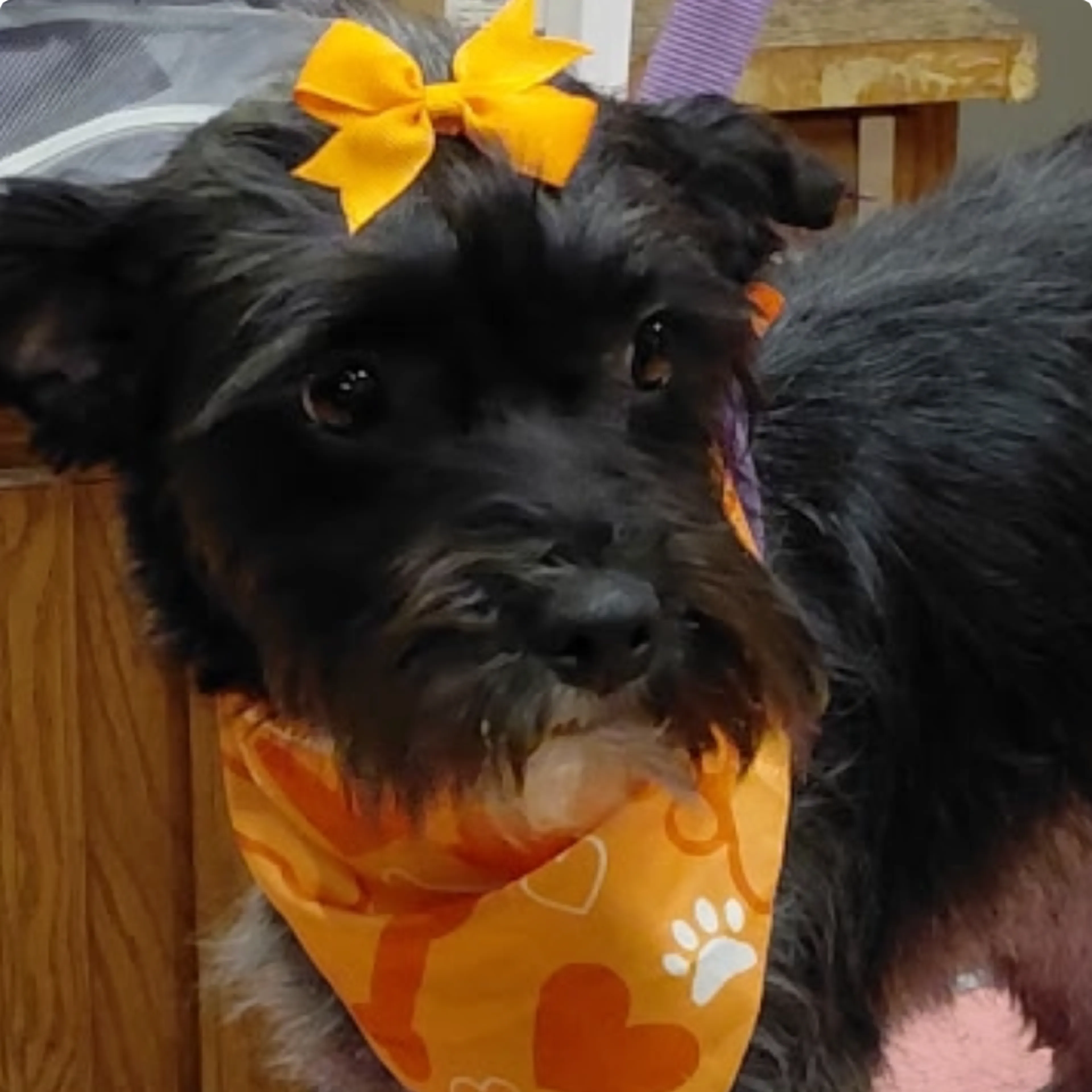 -2