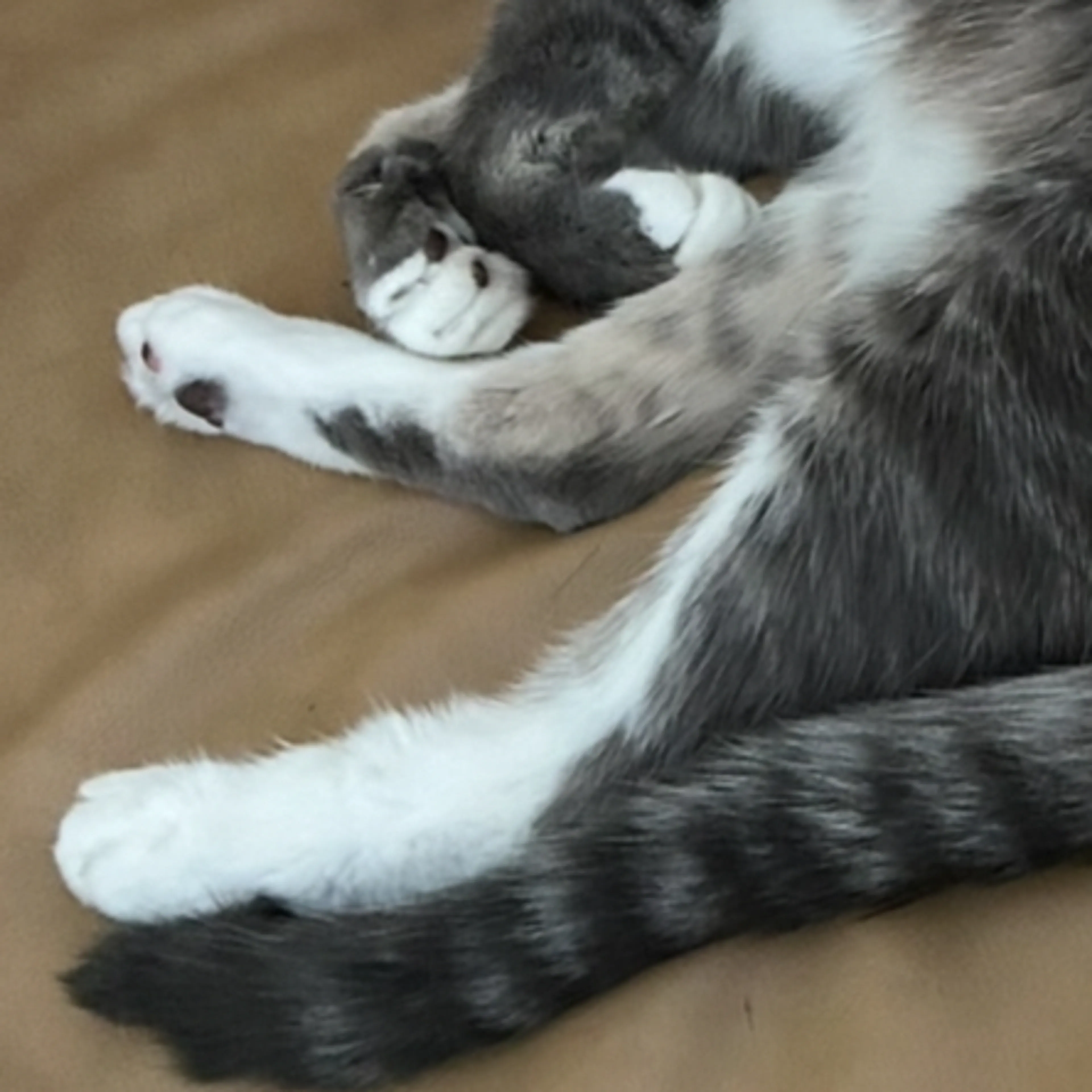 -3