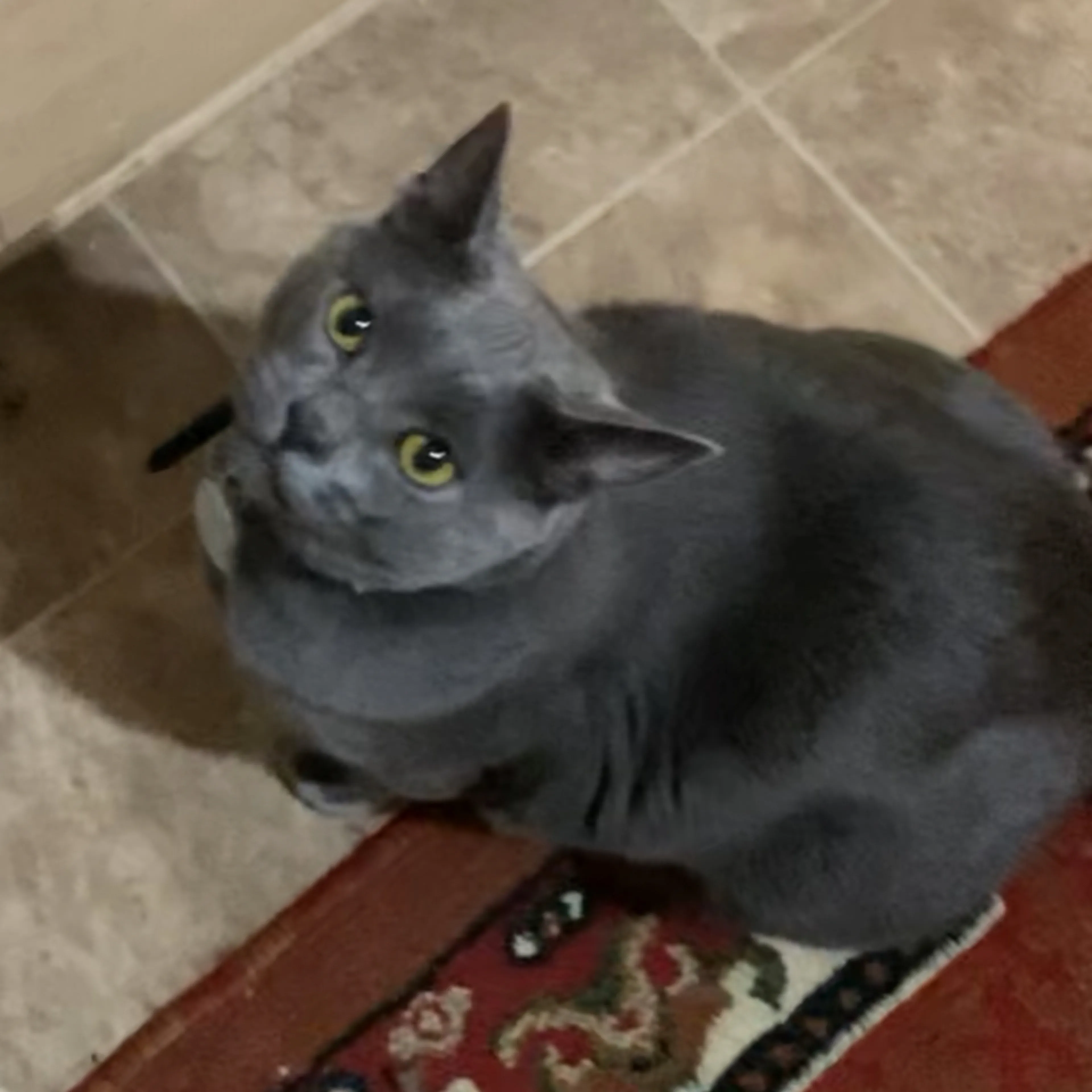 cdn image