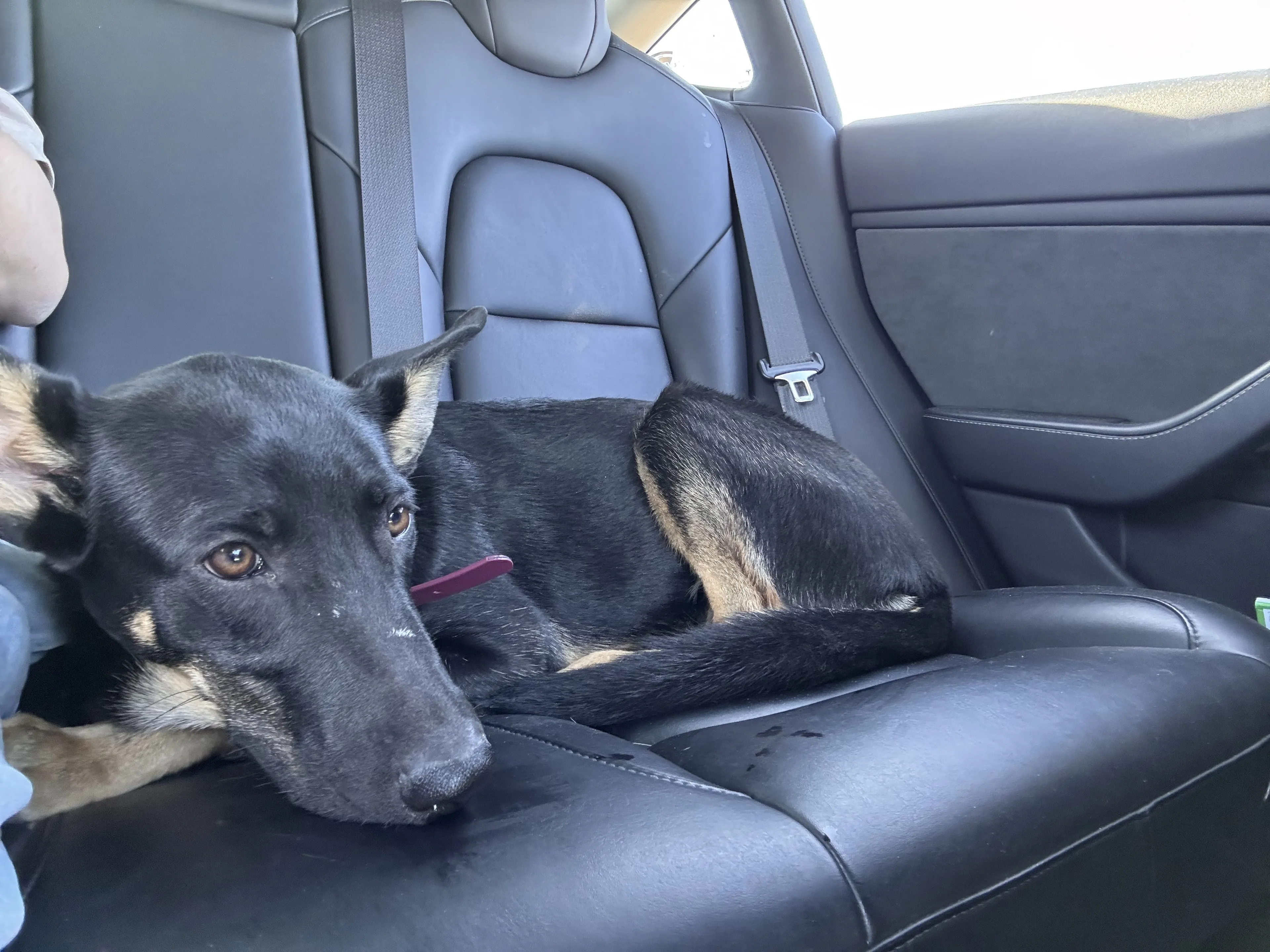 -2
