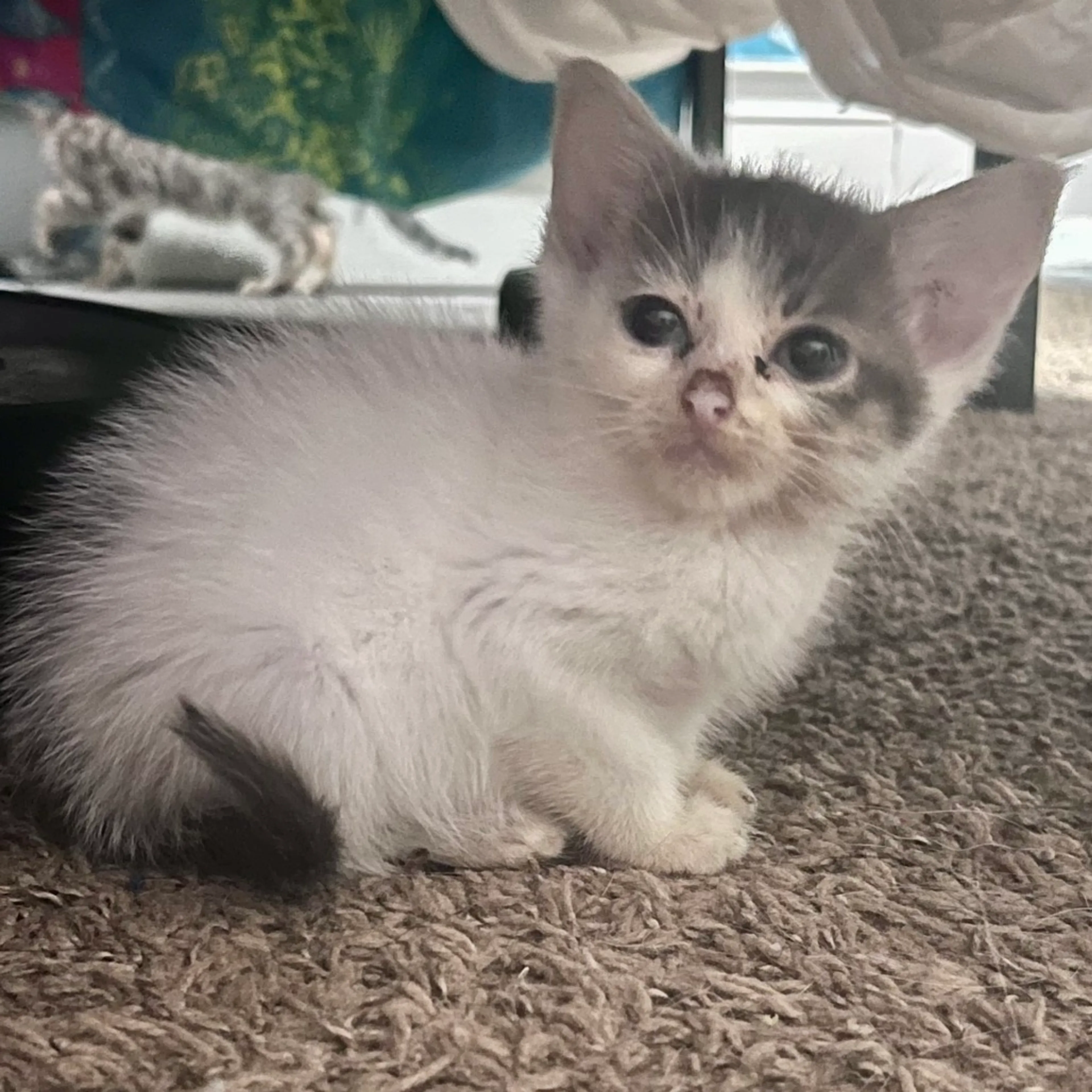 -0