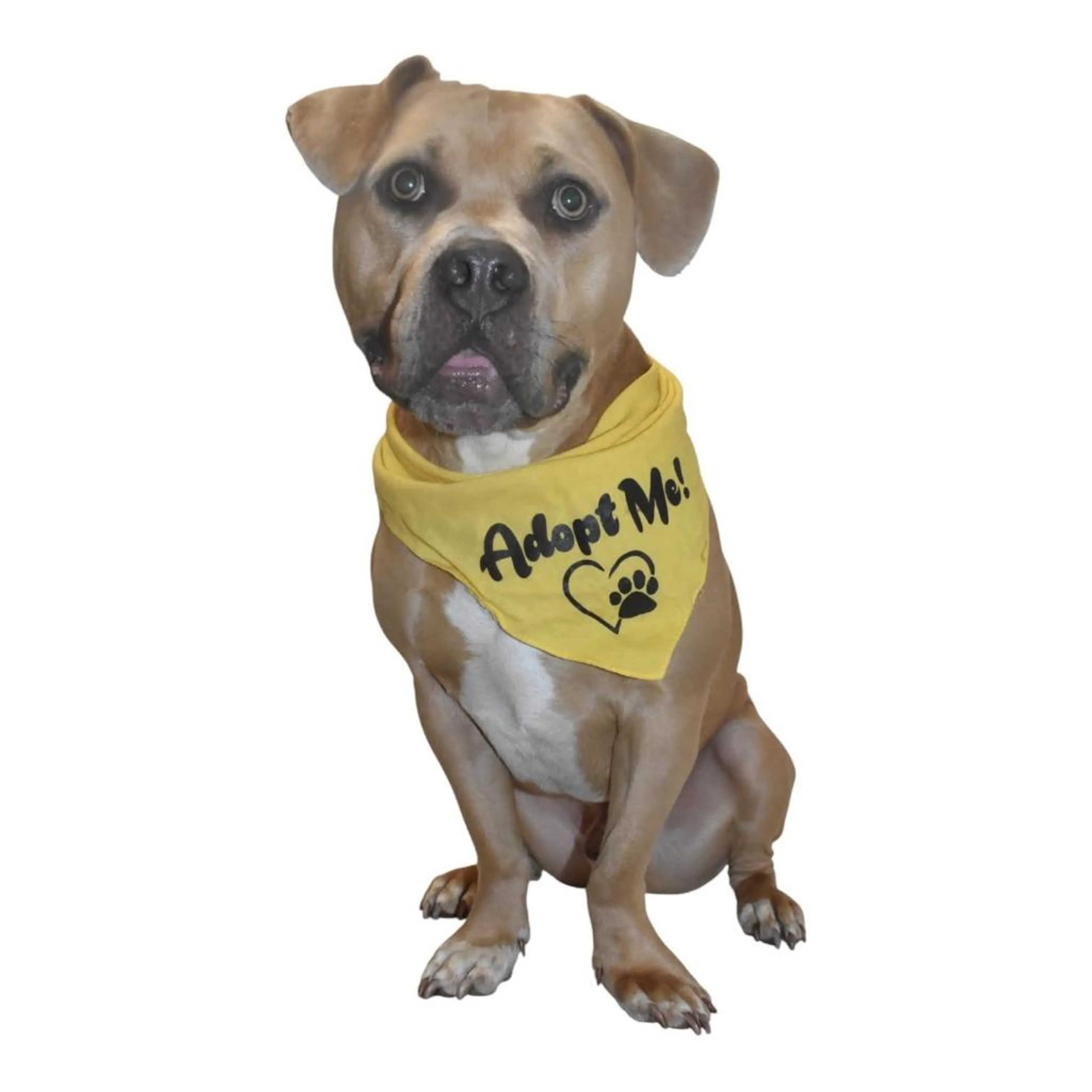 -4