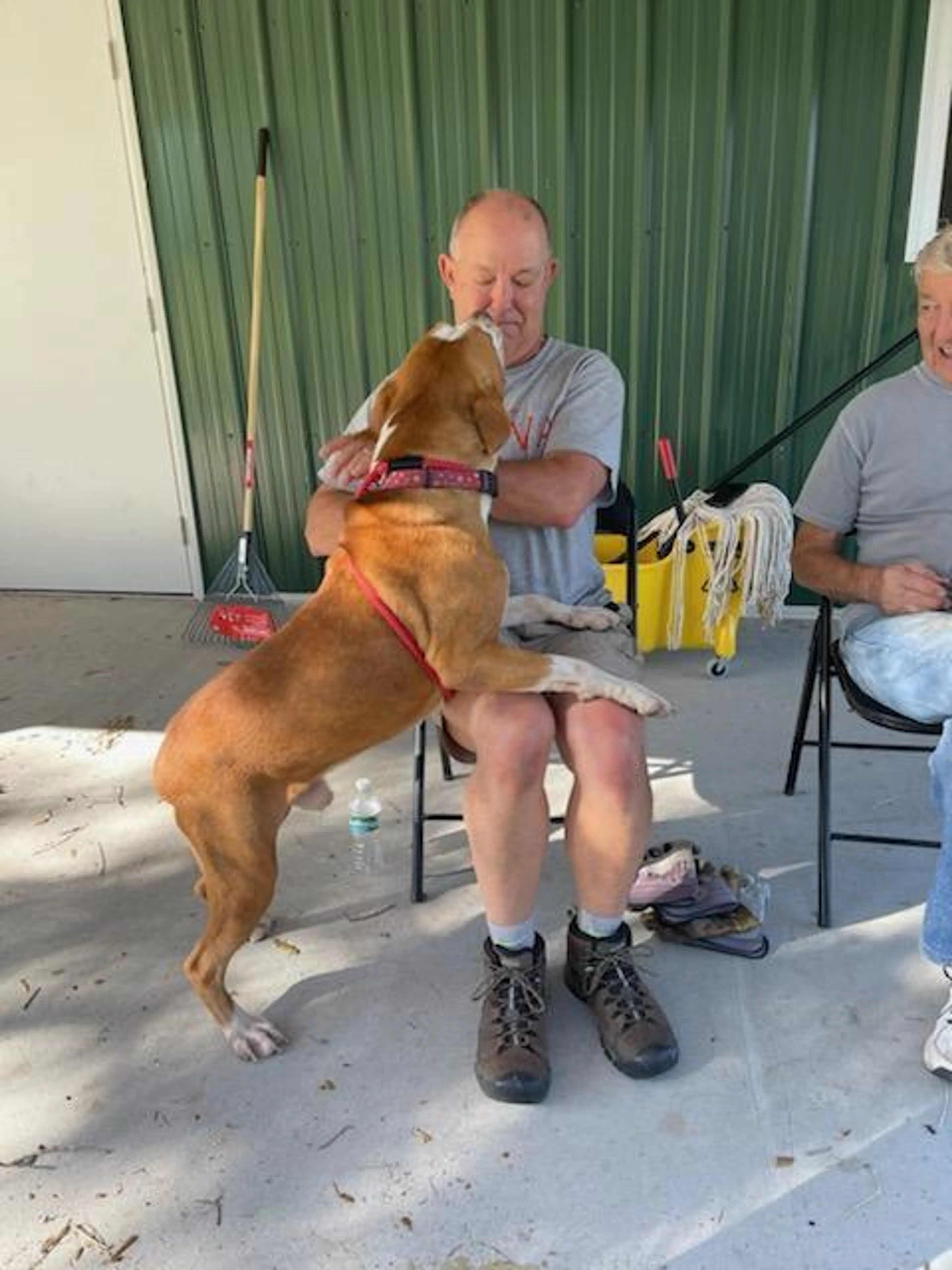 -3