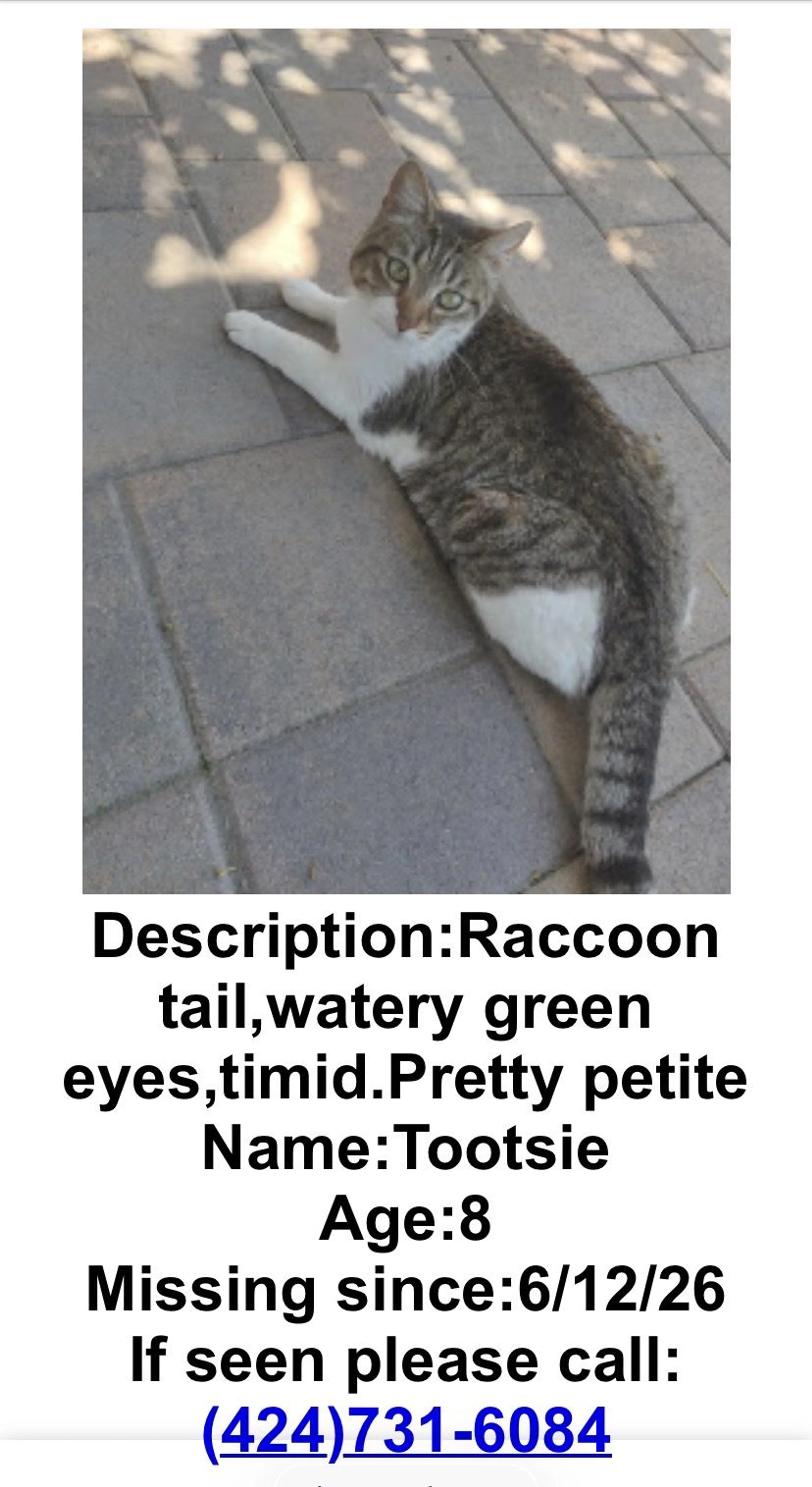 cdn image
