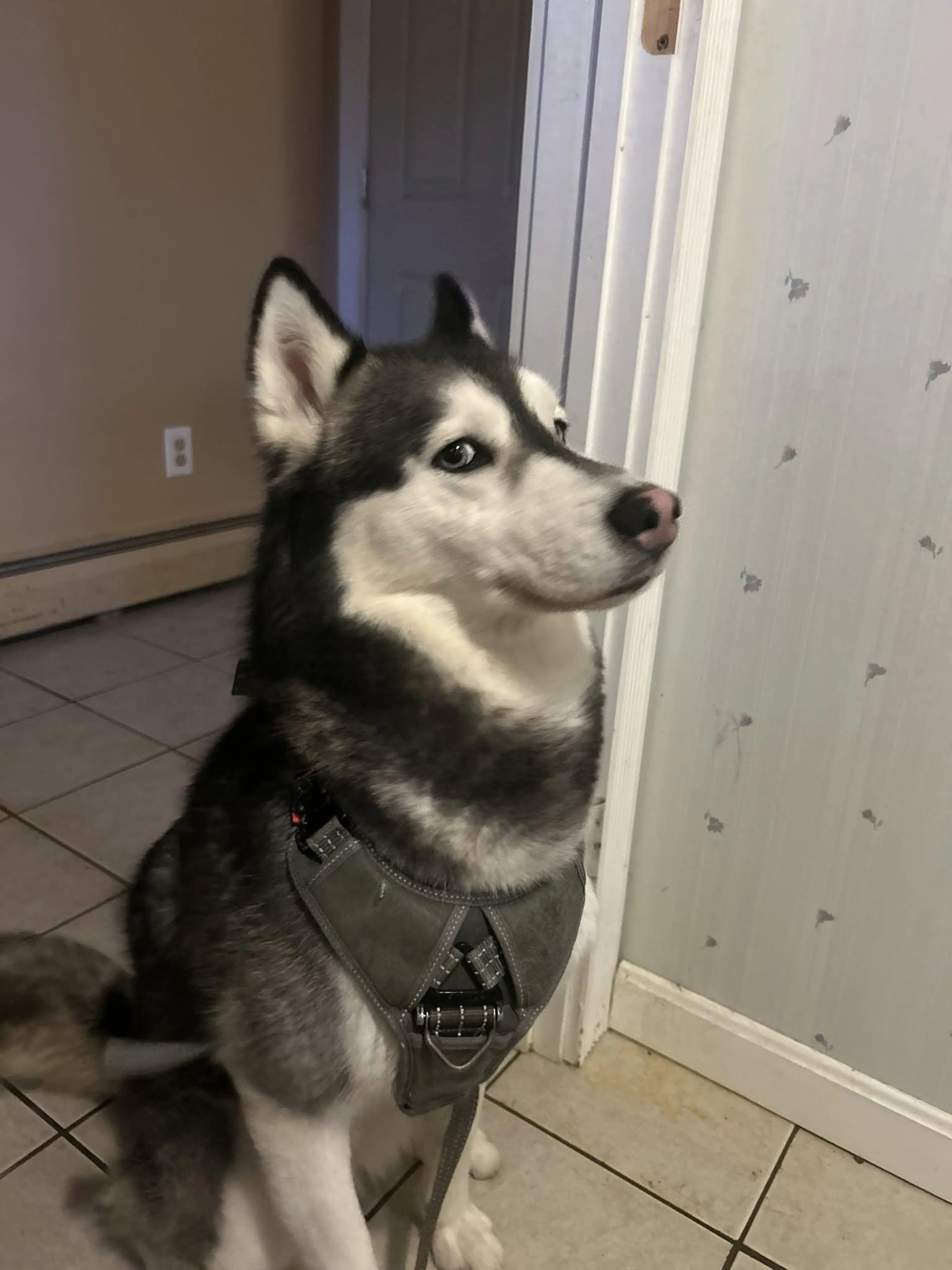 -1