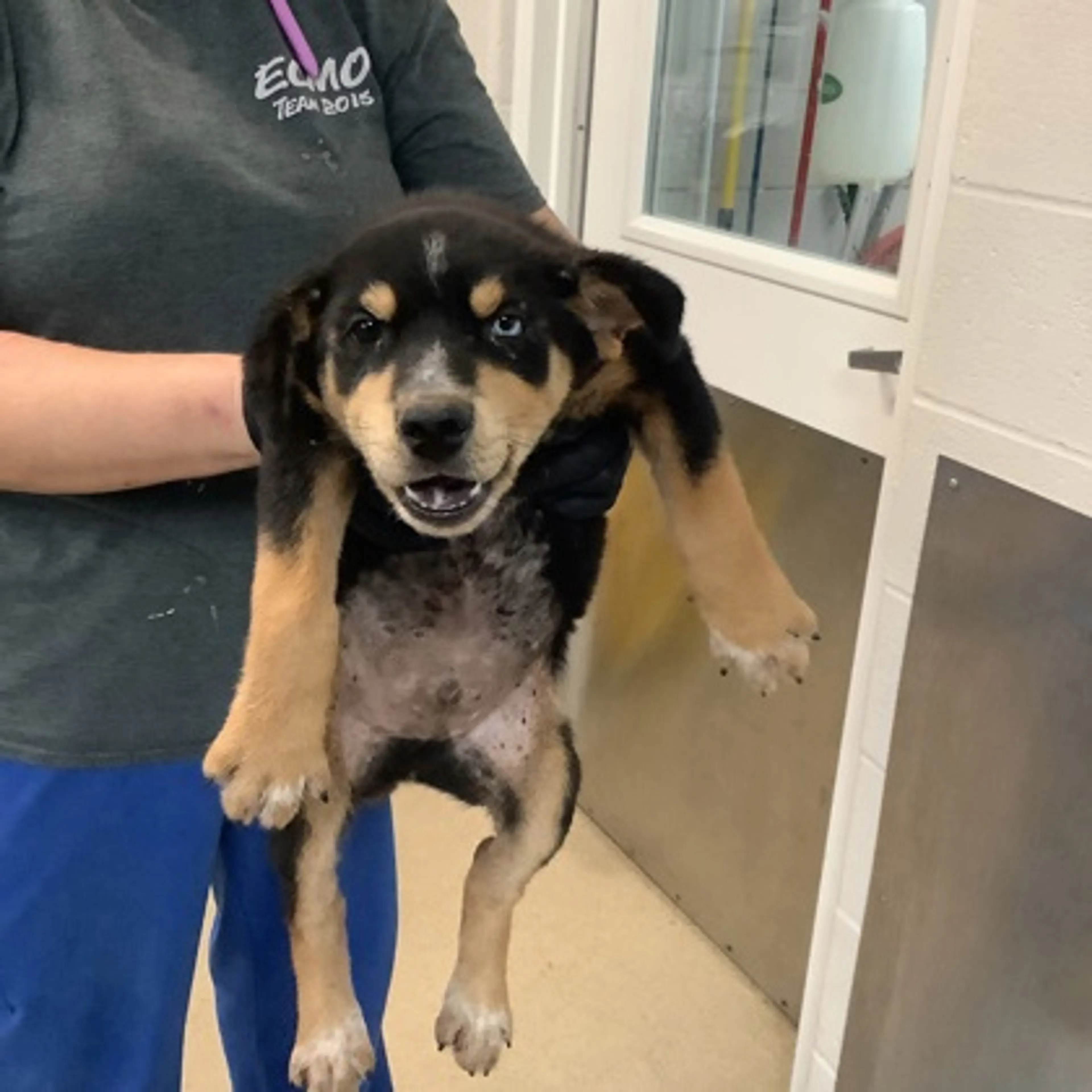 cdn image