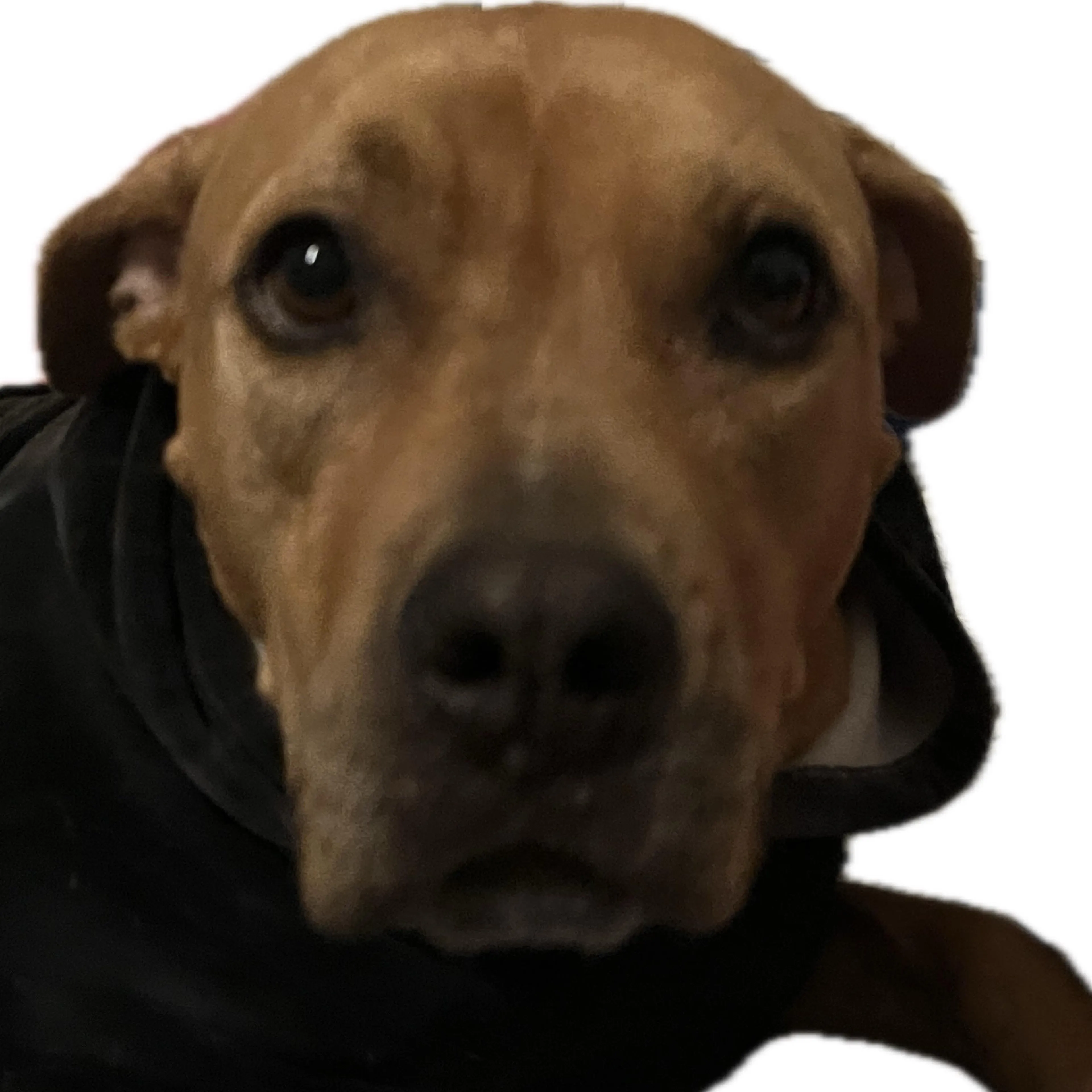 -1