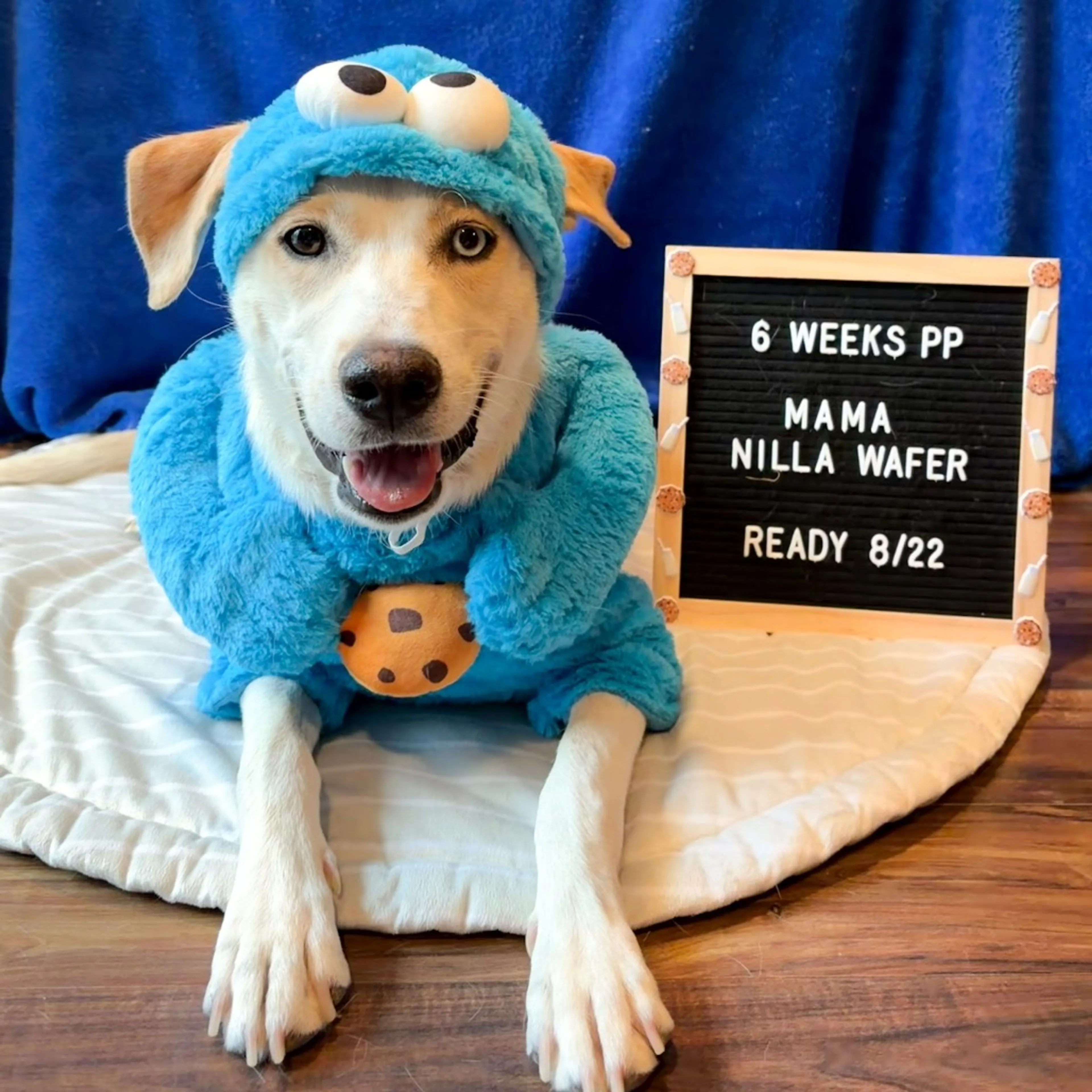 -0