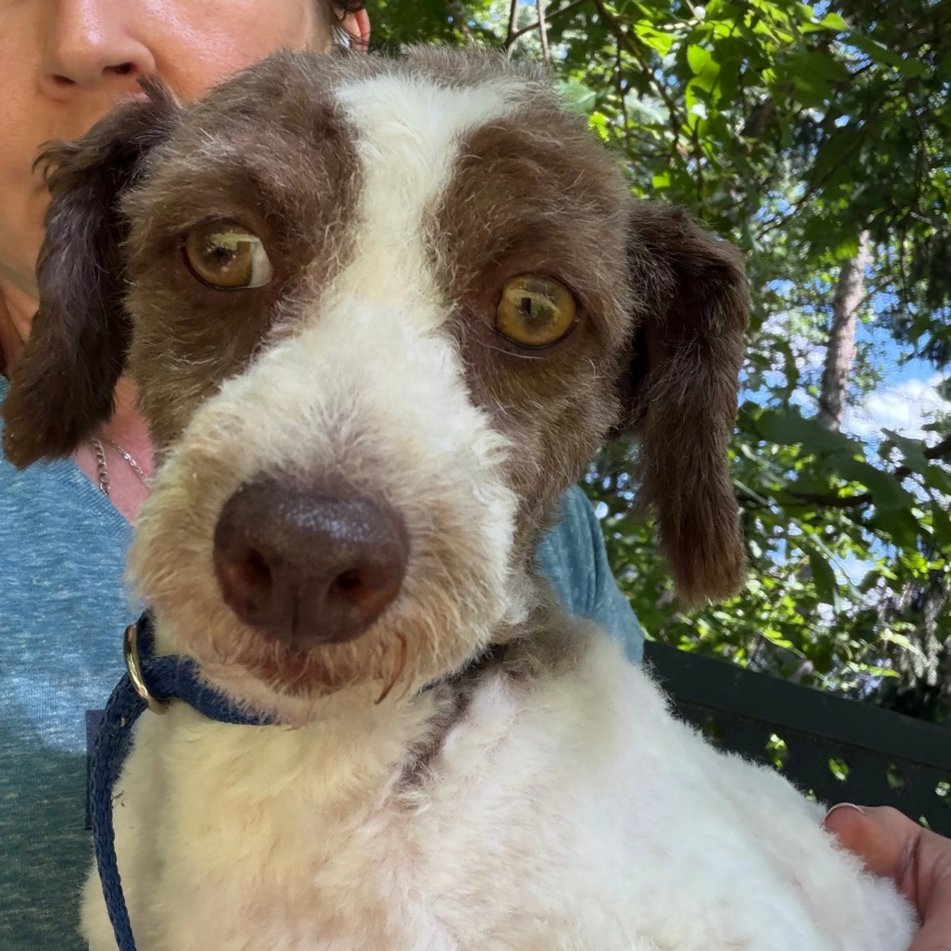 -4