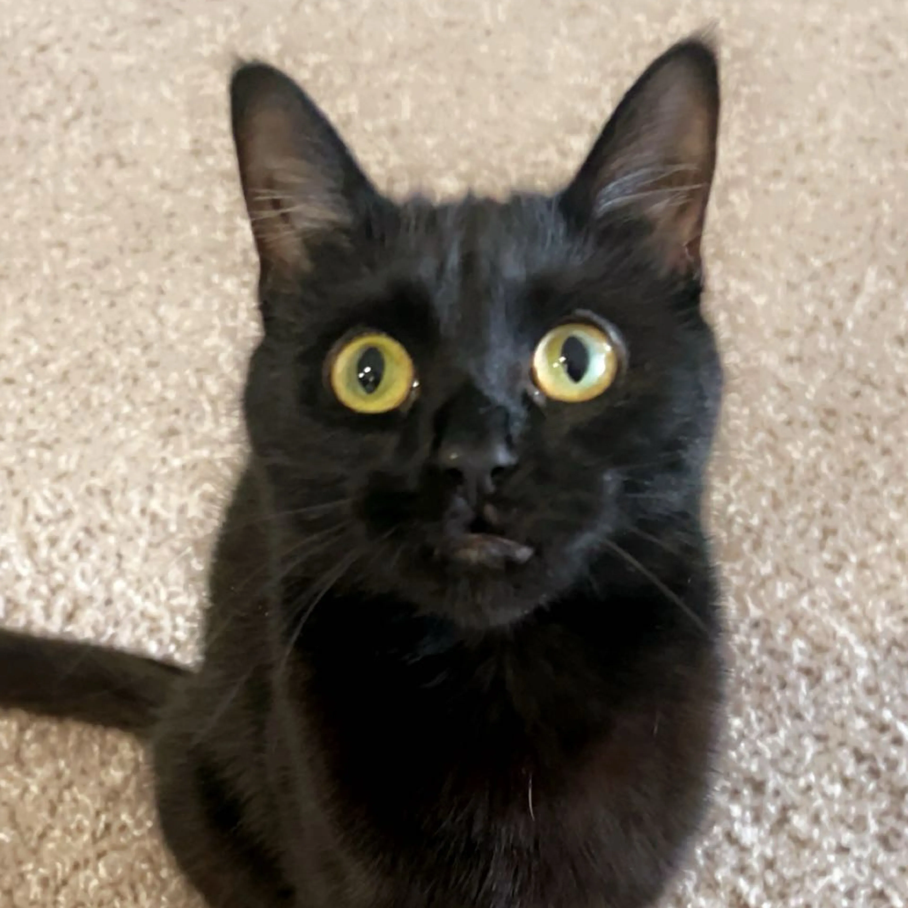 -3