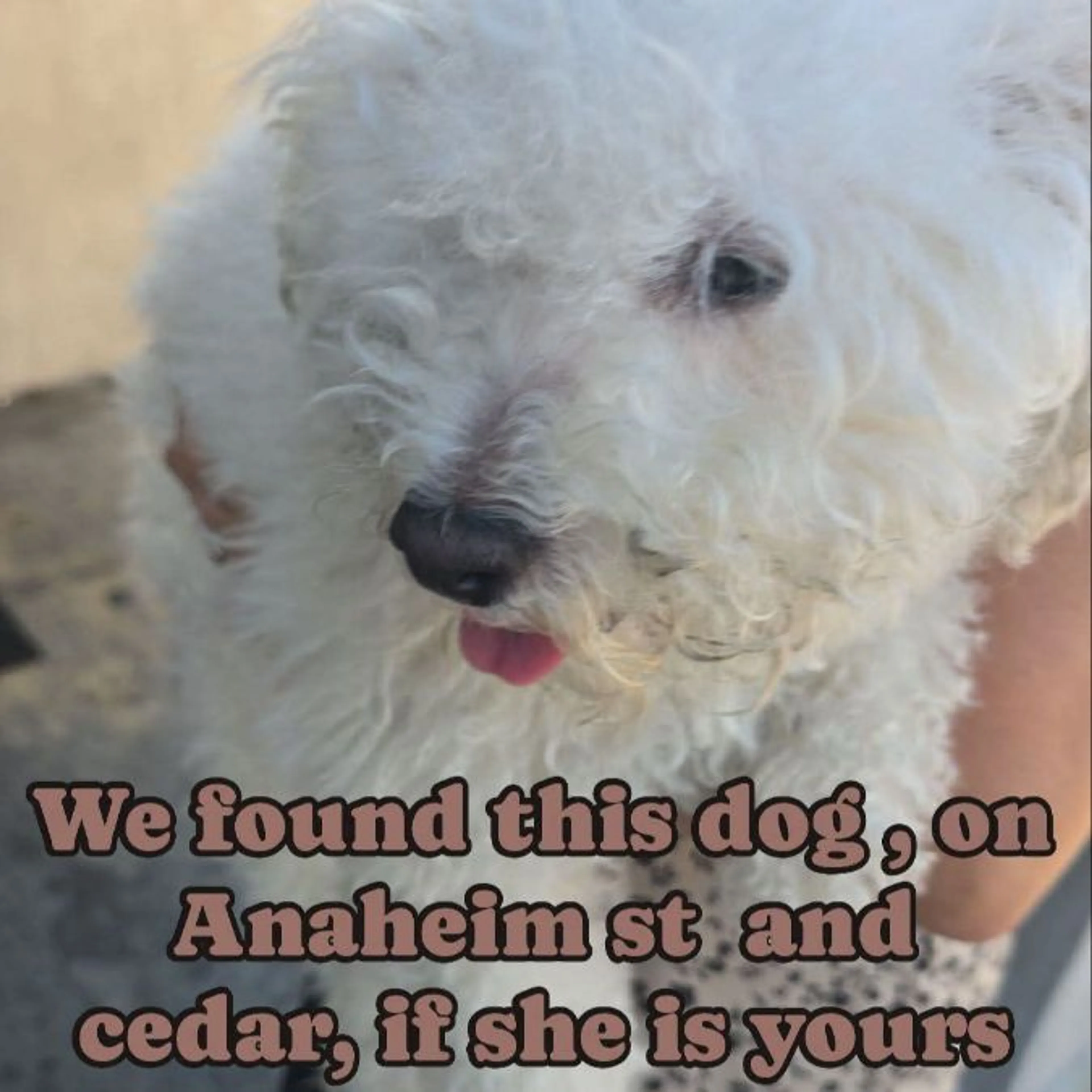 cdn image