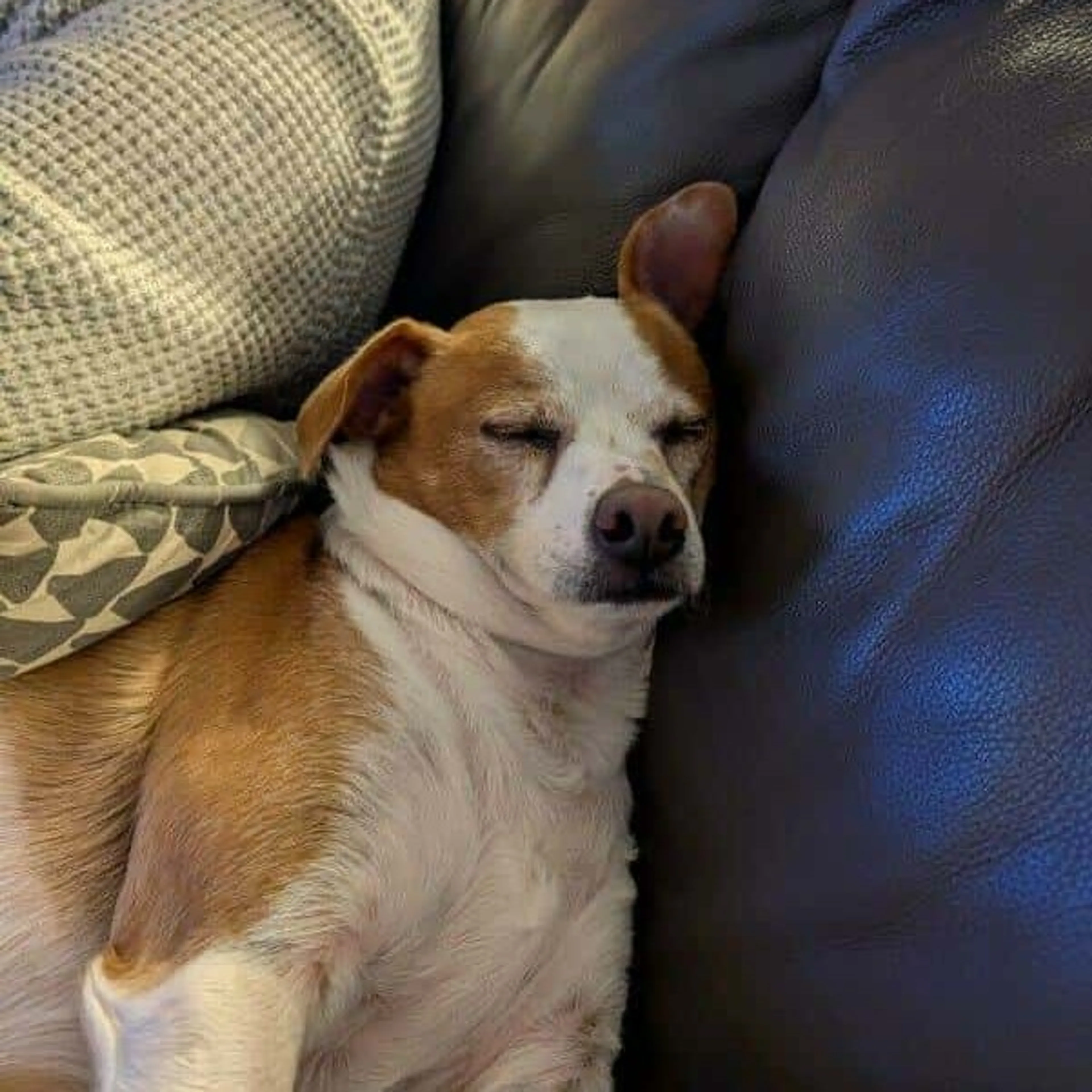 -12