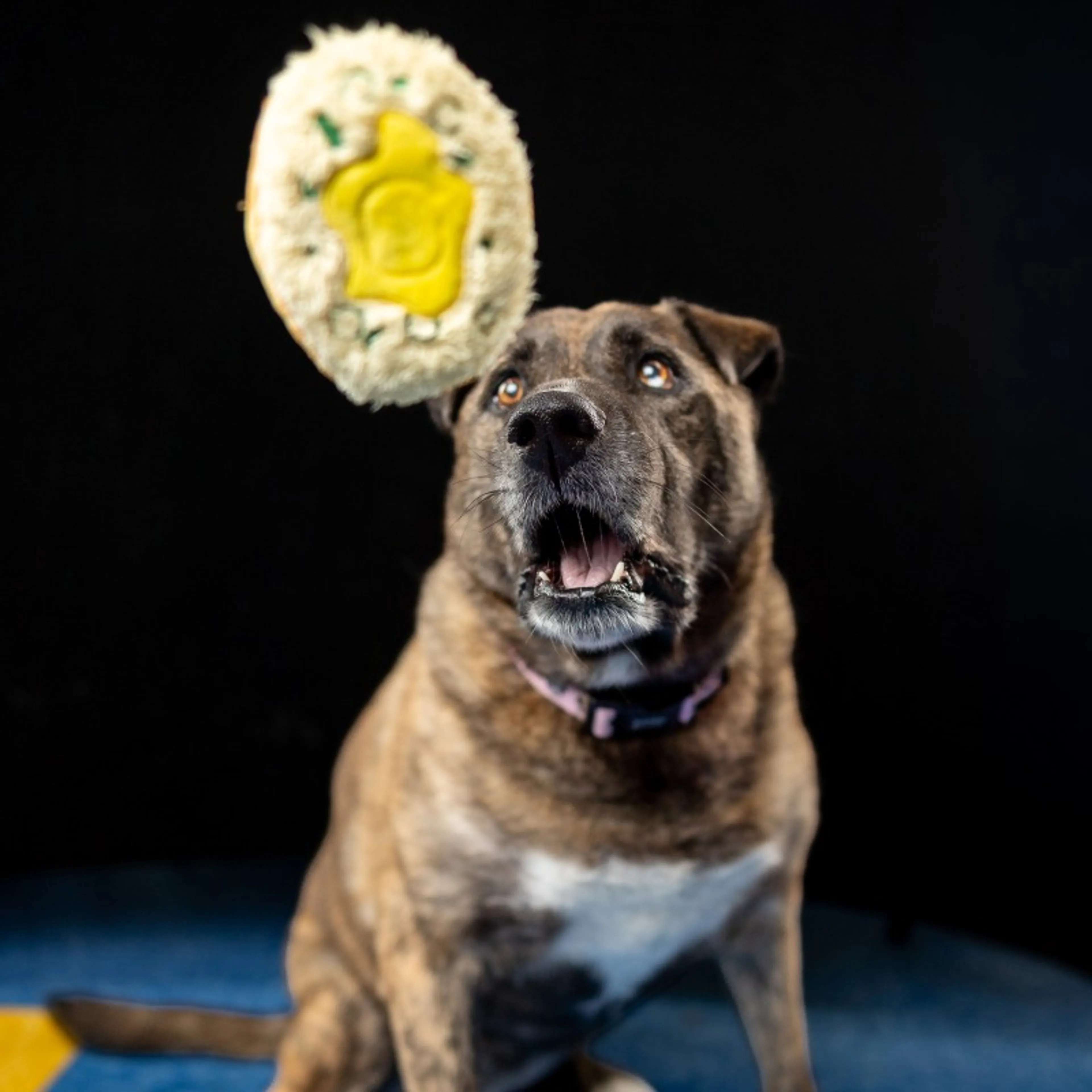 cdn image