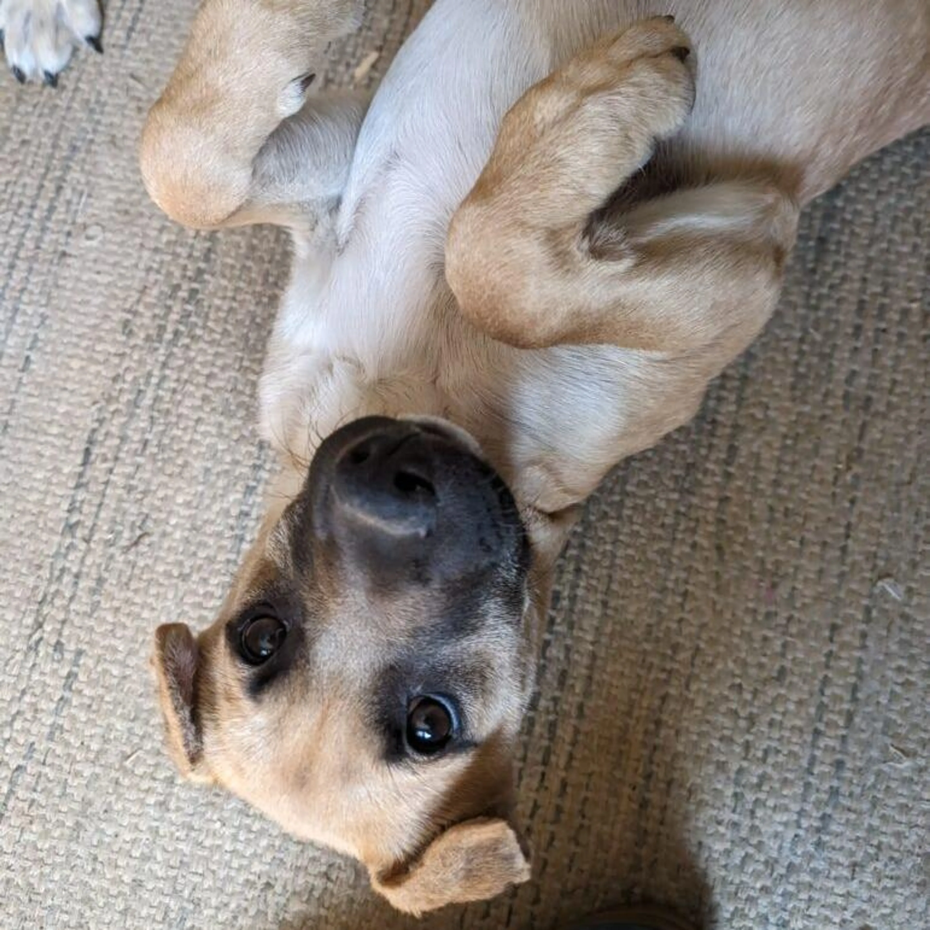 -1