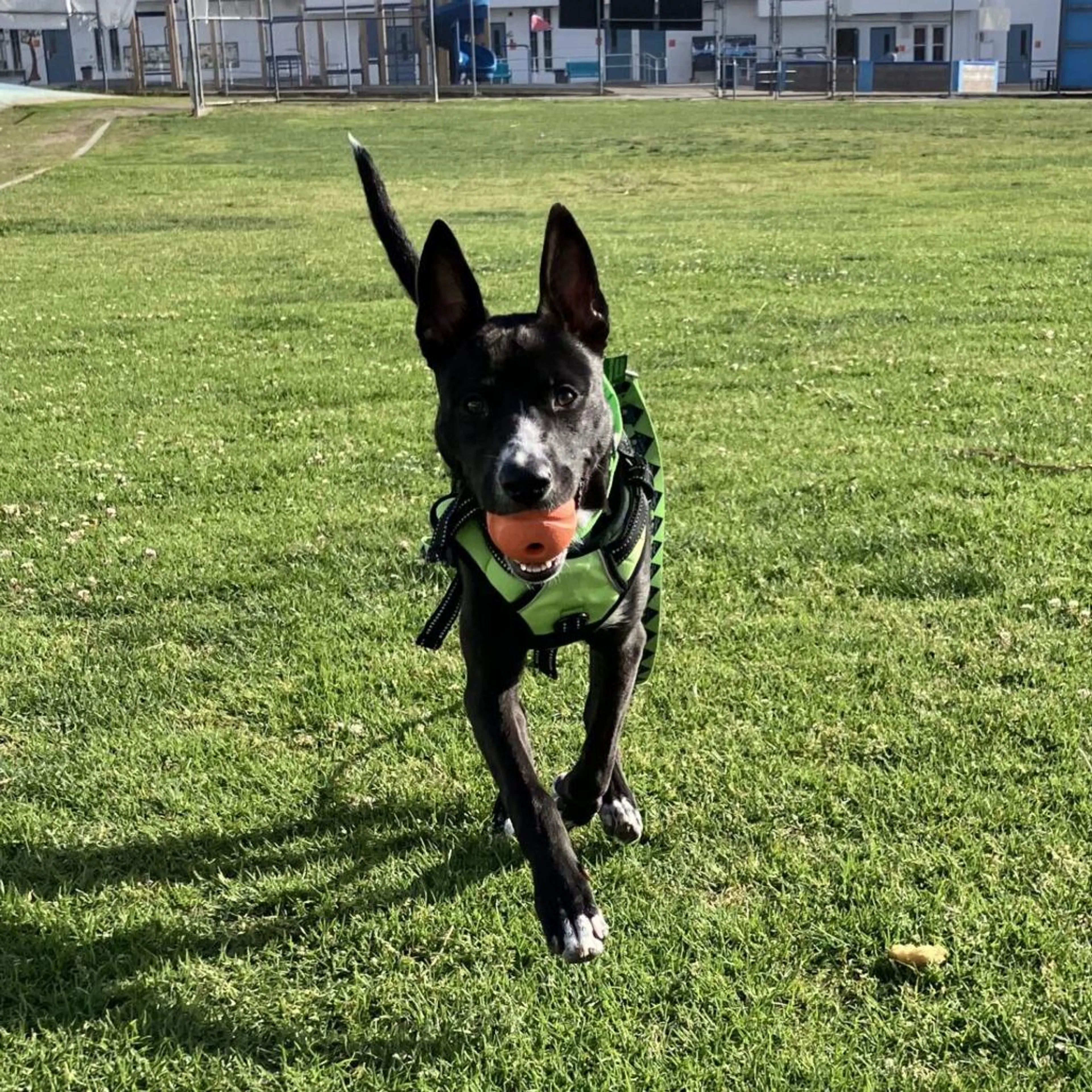 -2