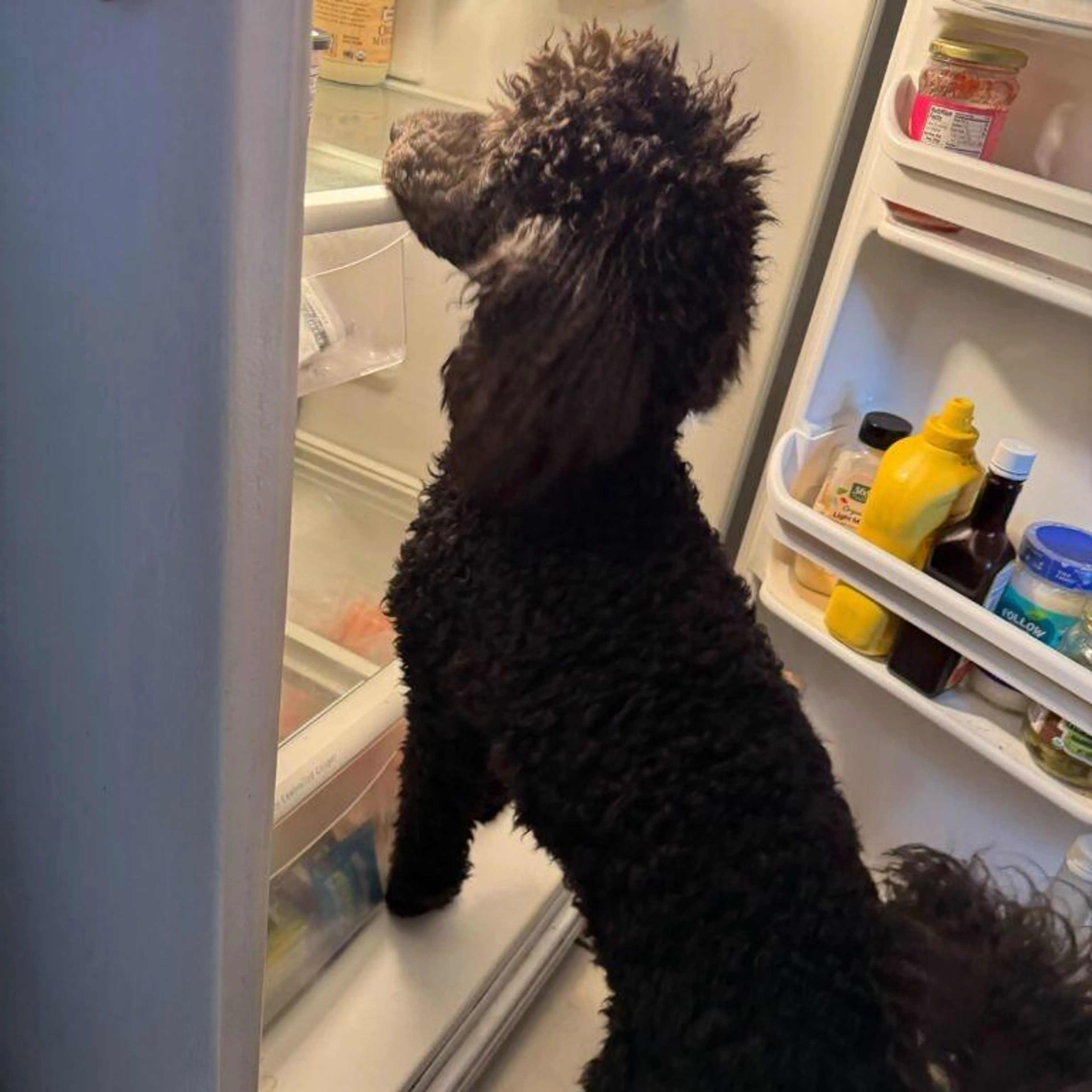 -3