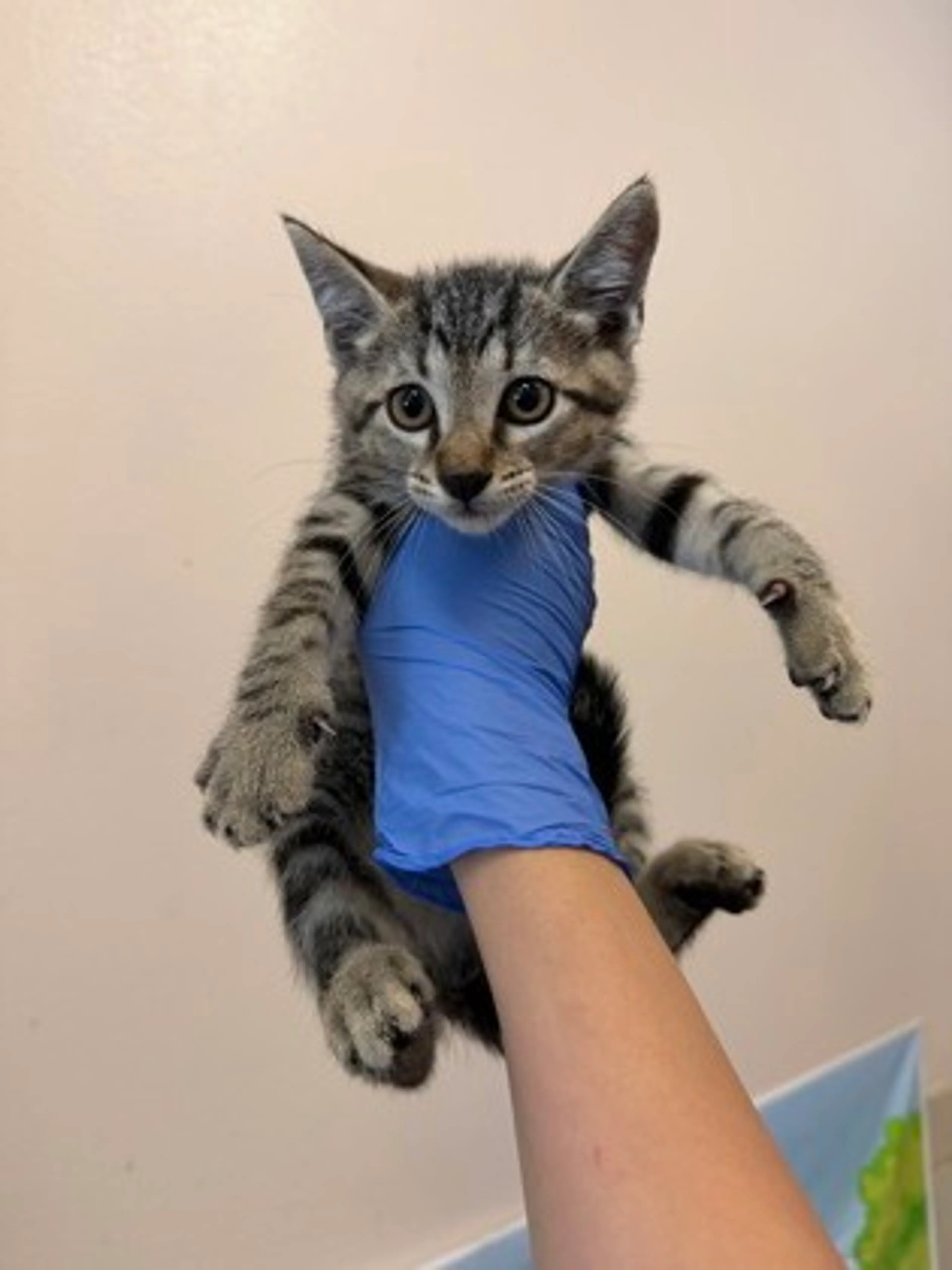 -0